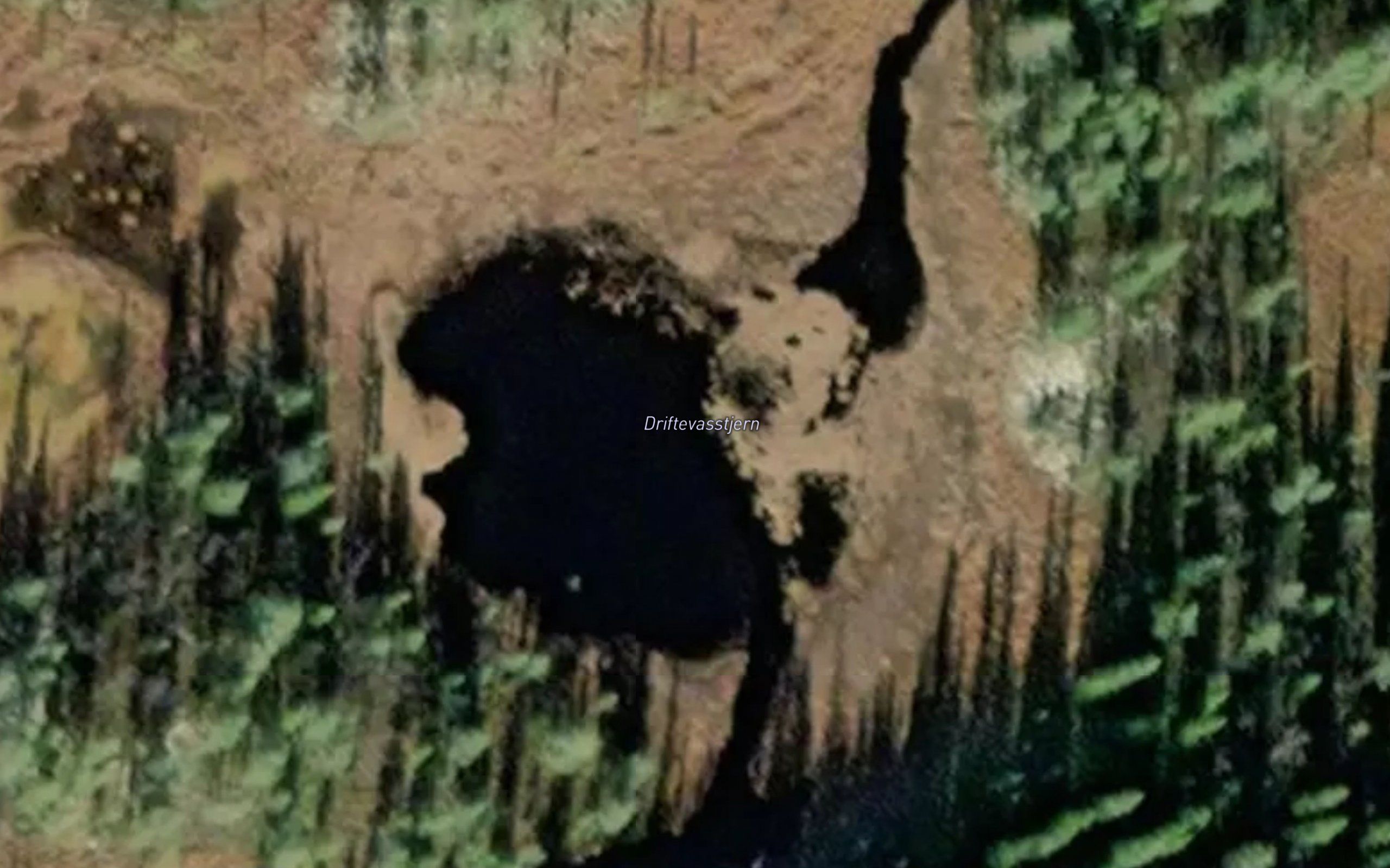 Driftevasstjernet