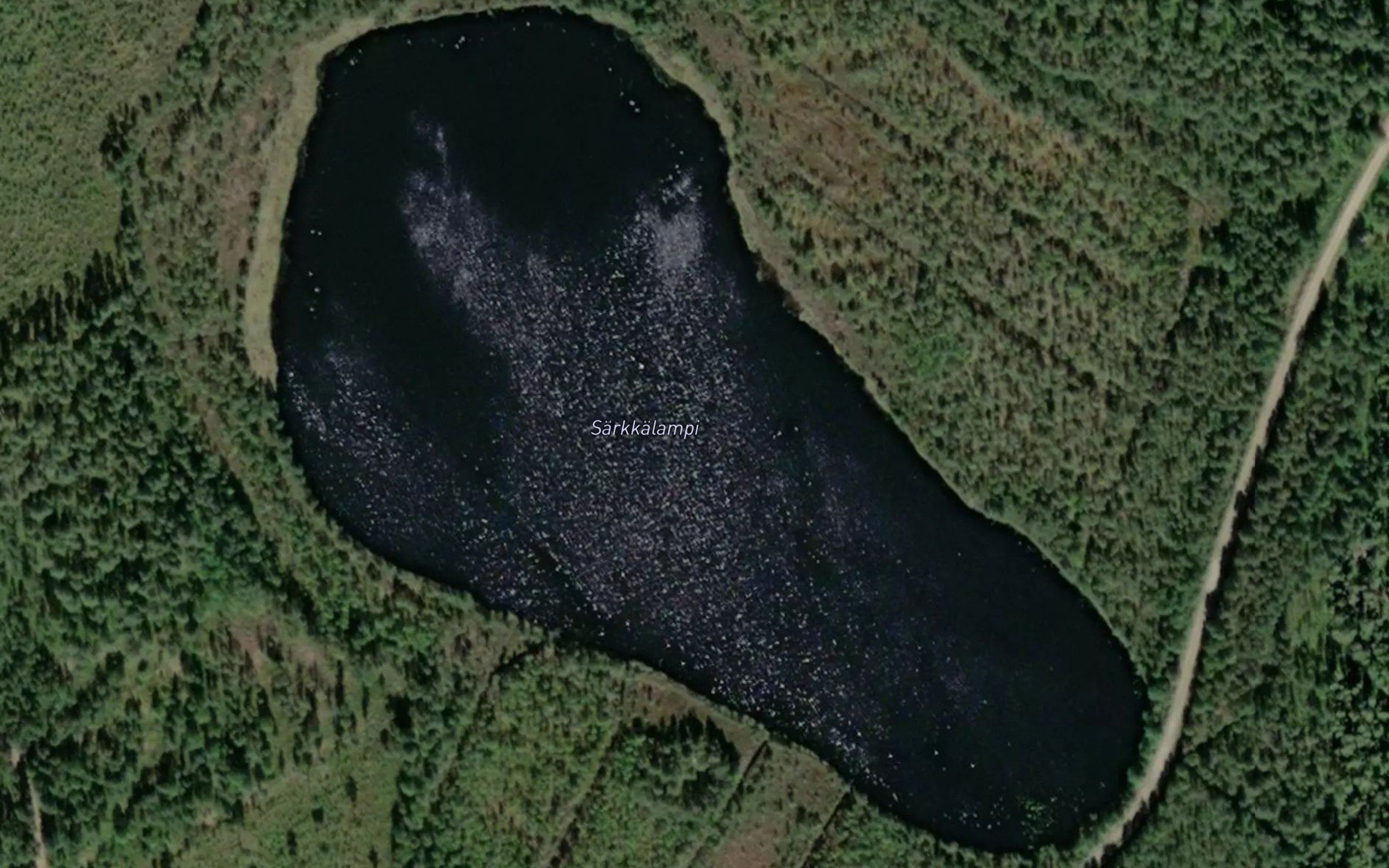 Sarkkalampi