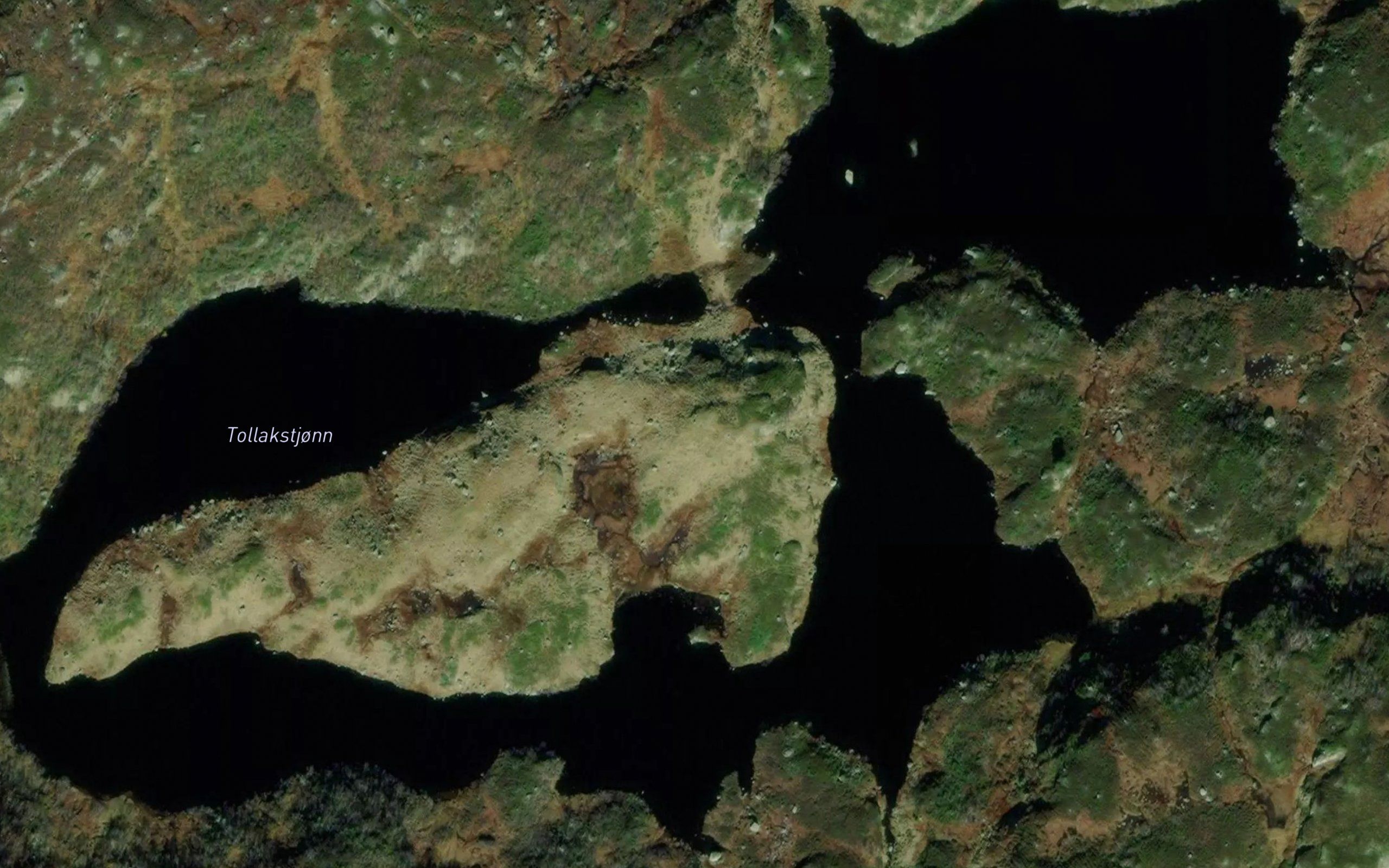 Tollakstjorn