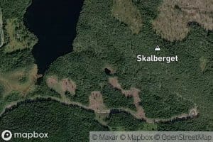 Skaltjernet