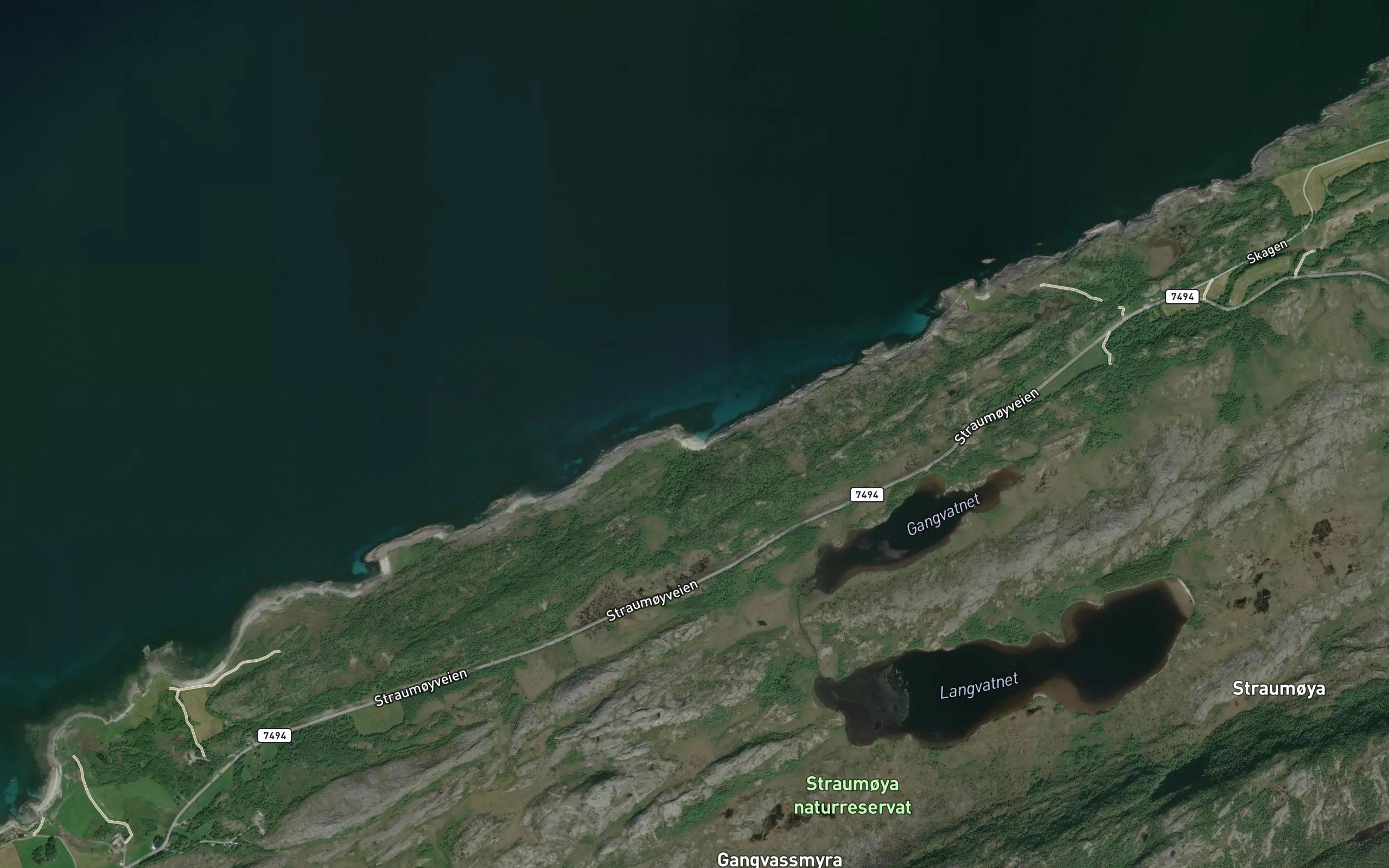 Storteinsvika