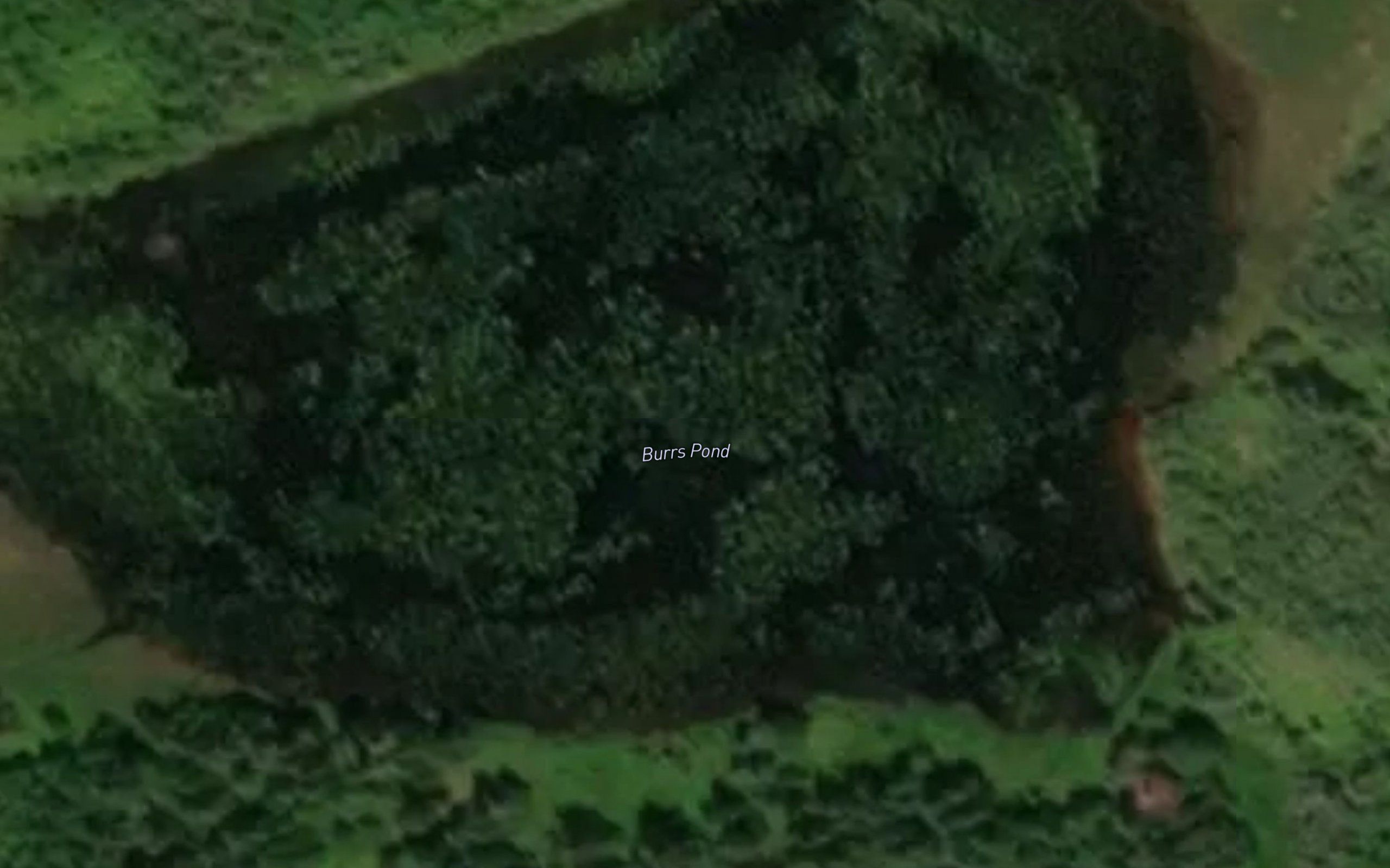 Burrs Pond
