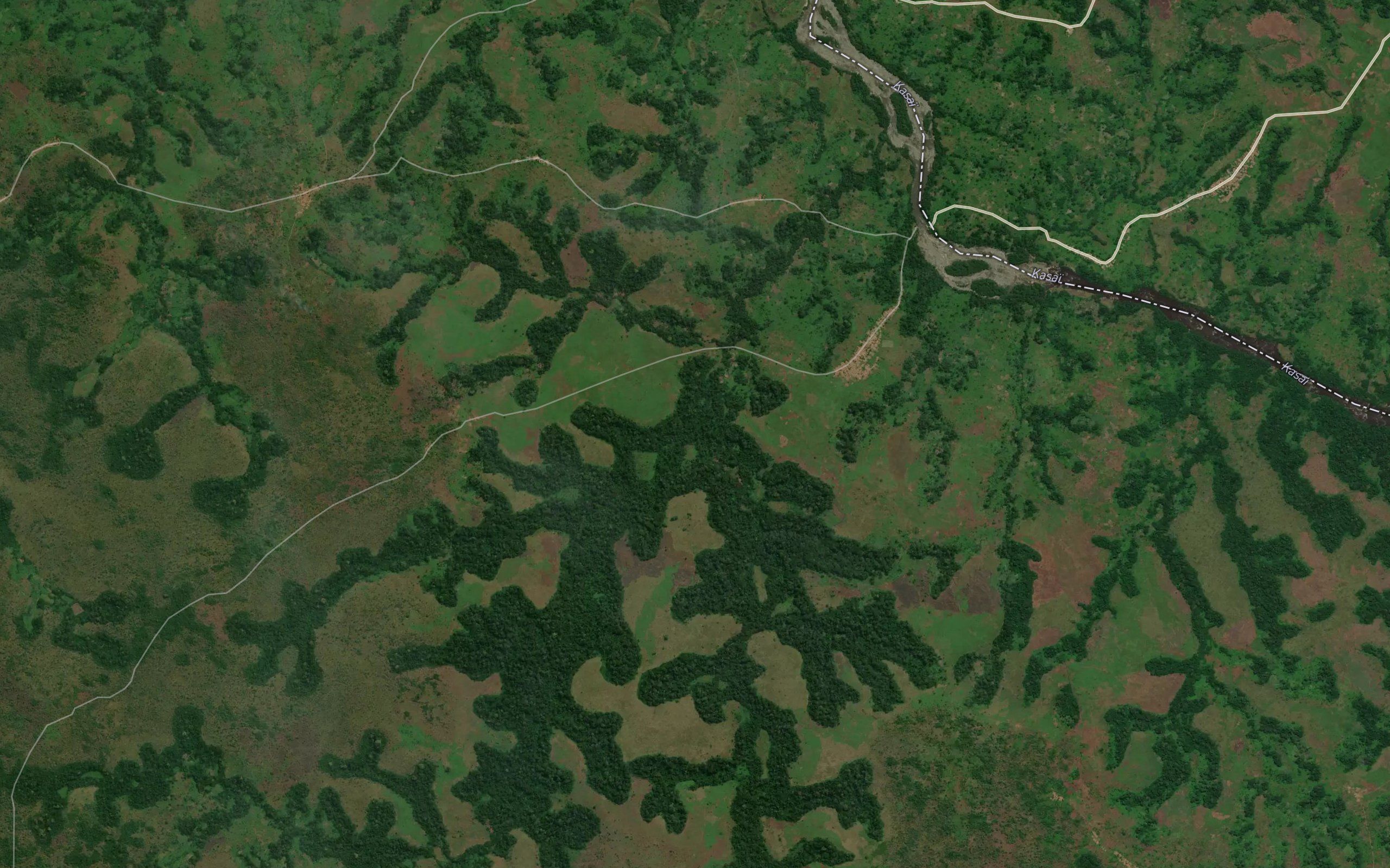 Tshiniania