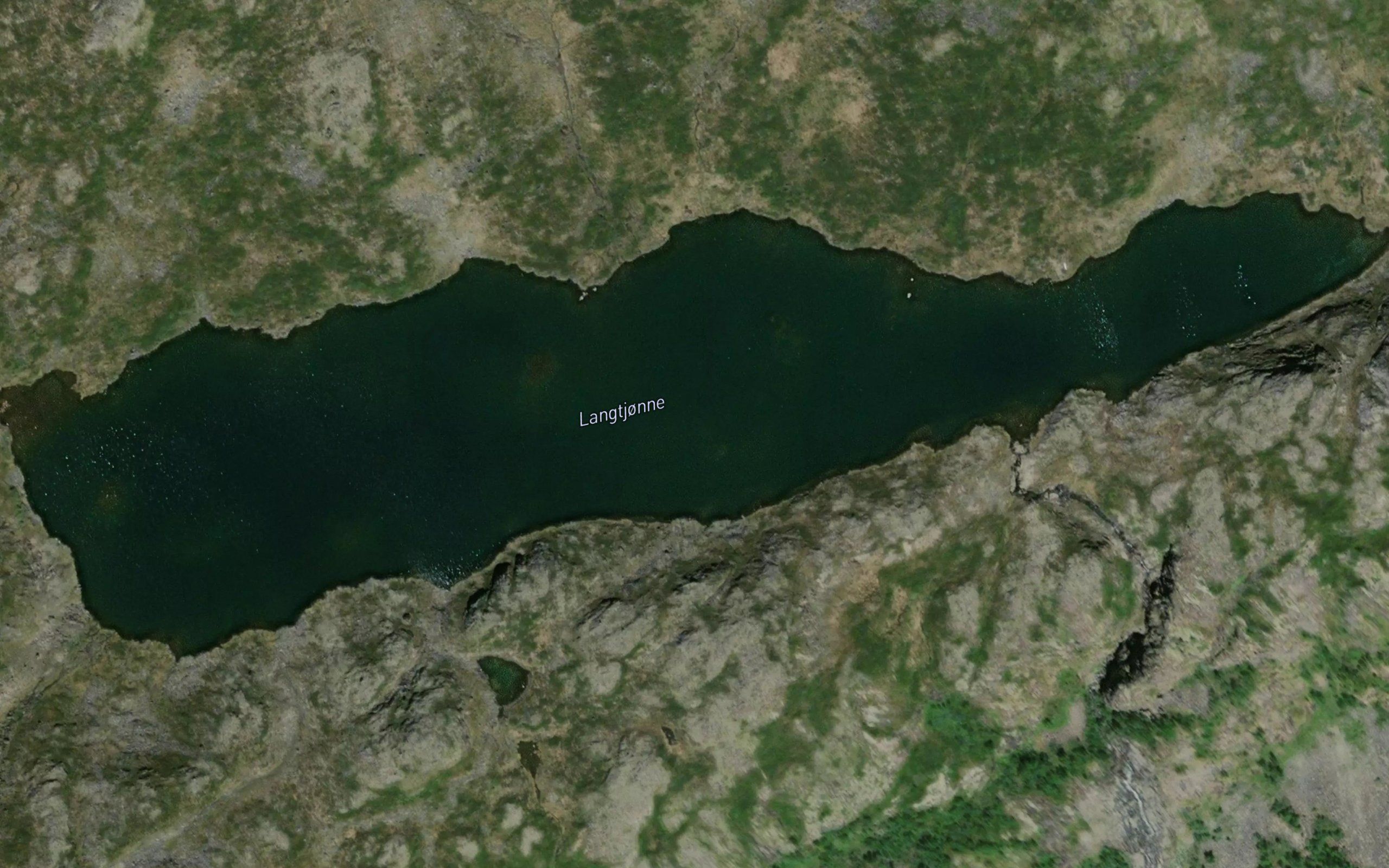 Langtjorni