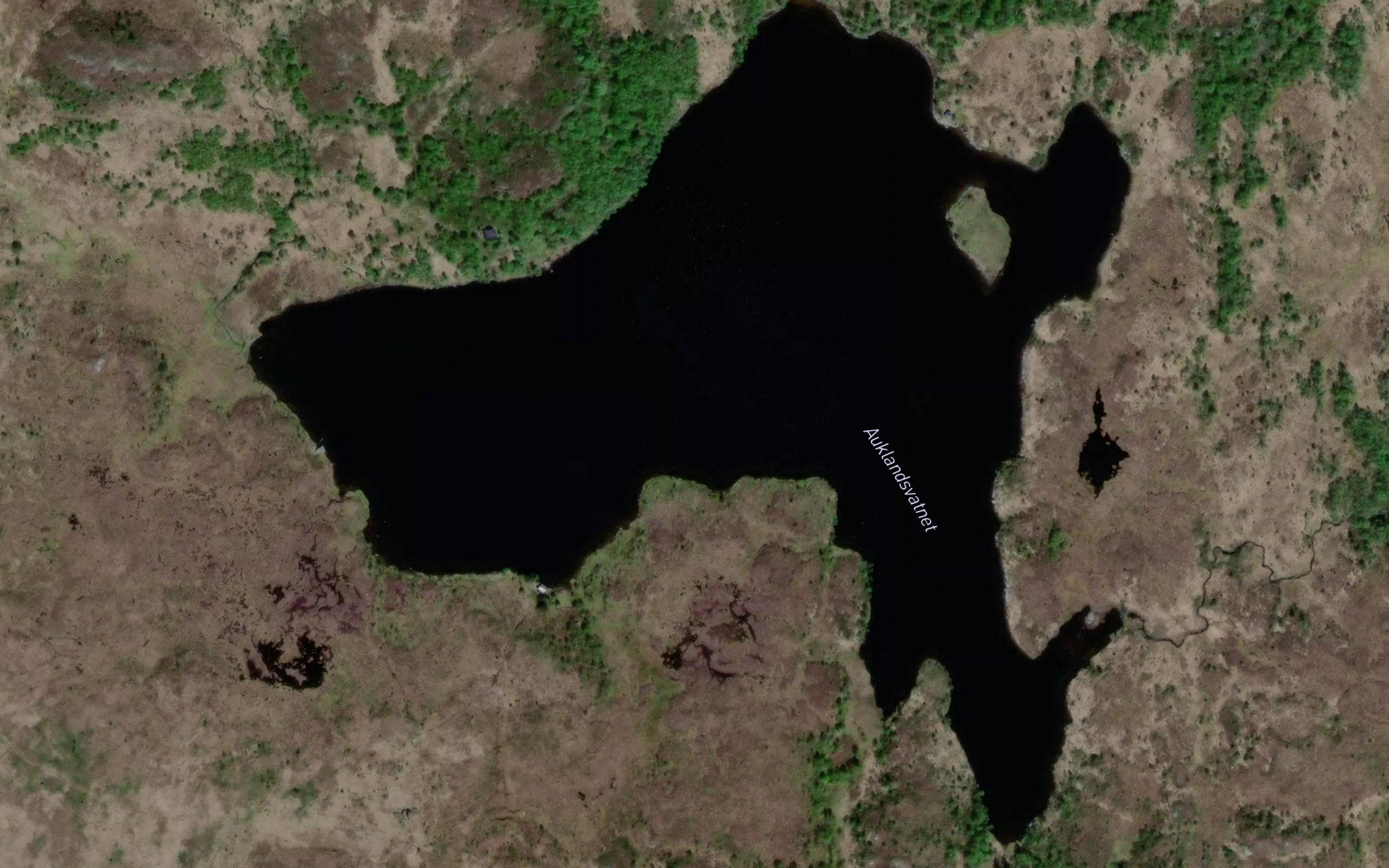 Auklandsvatnet