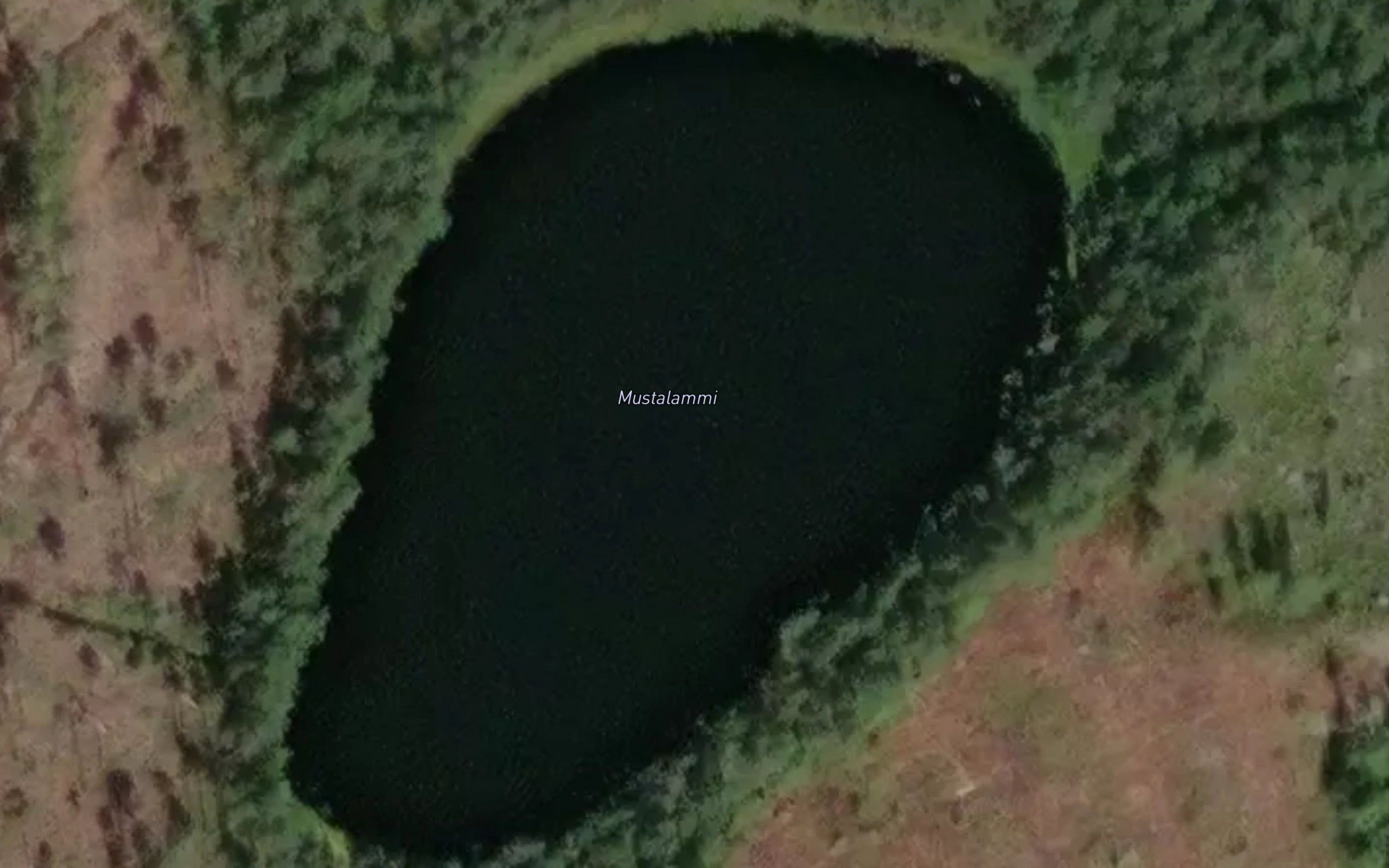 Mustalammi