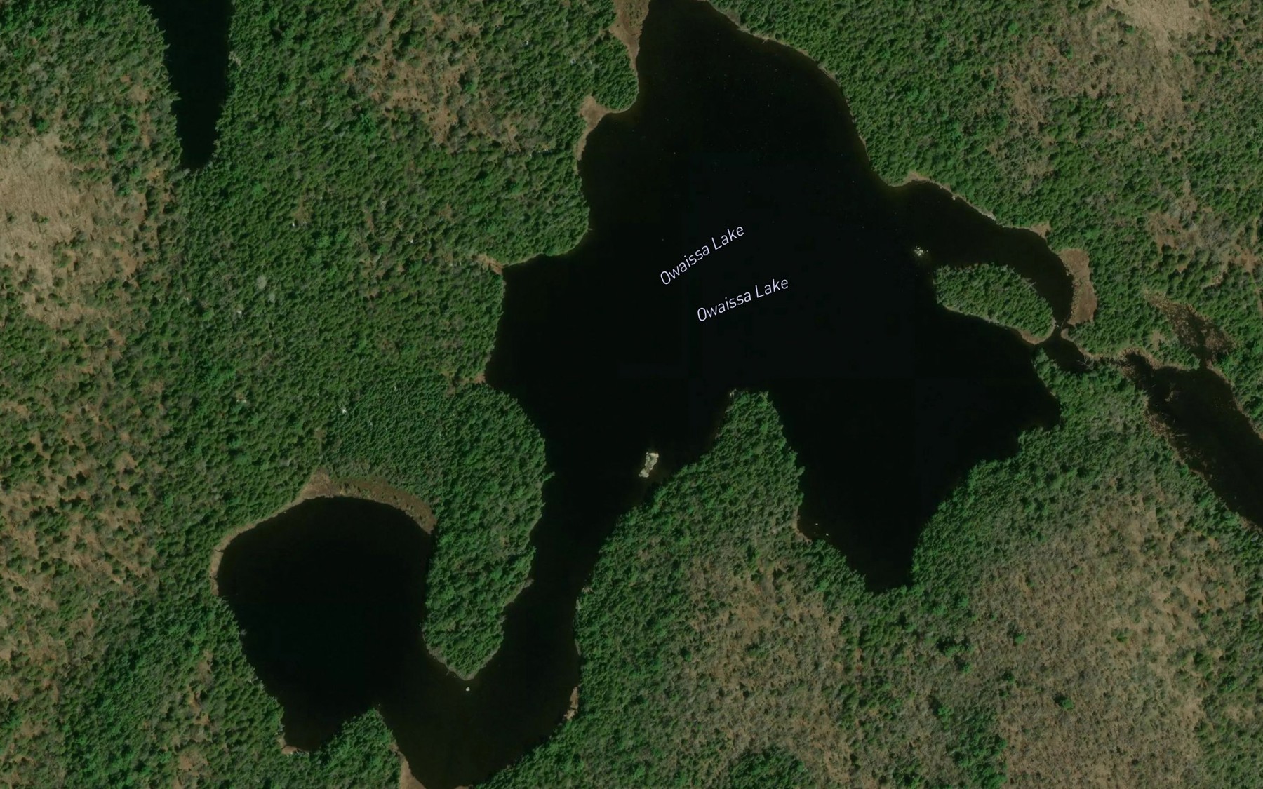 Satellite map of the Owaissa Lake