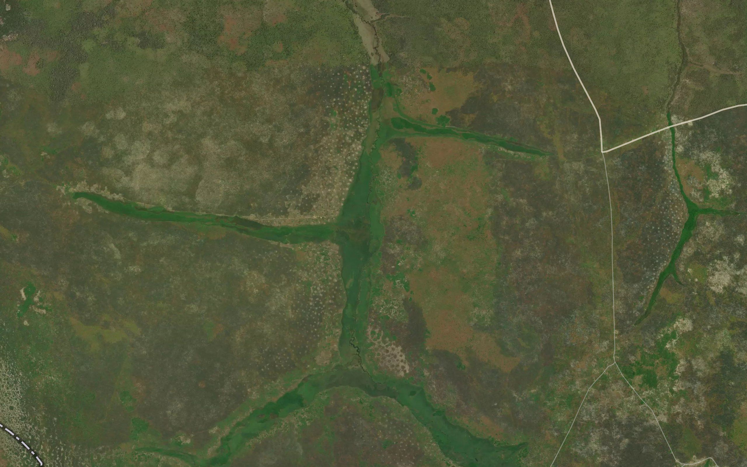 Kisombo