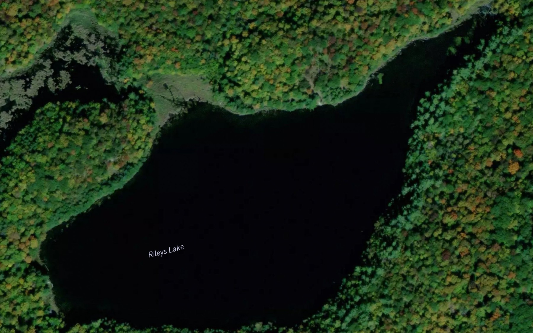 Satellite map of the Rileys Lake
