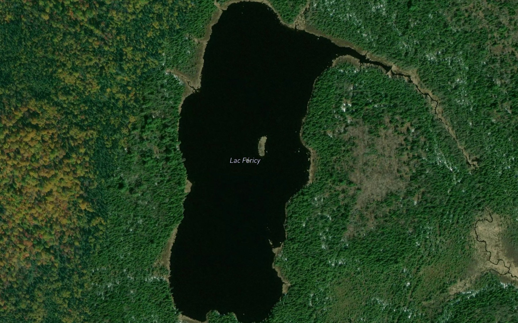 Satellite map of the Lac Fericy