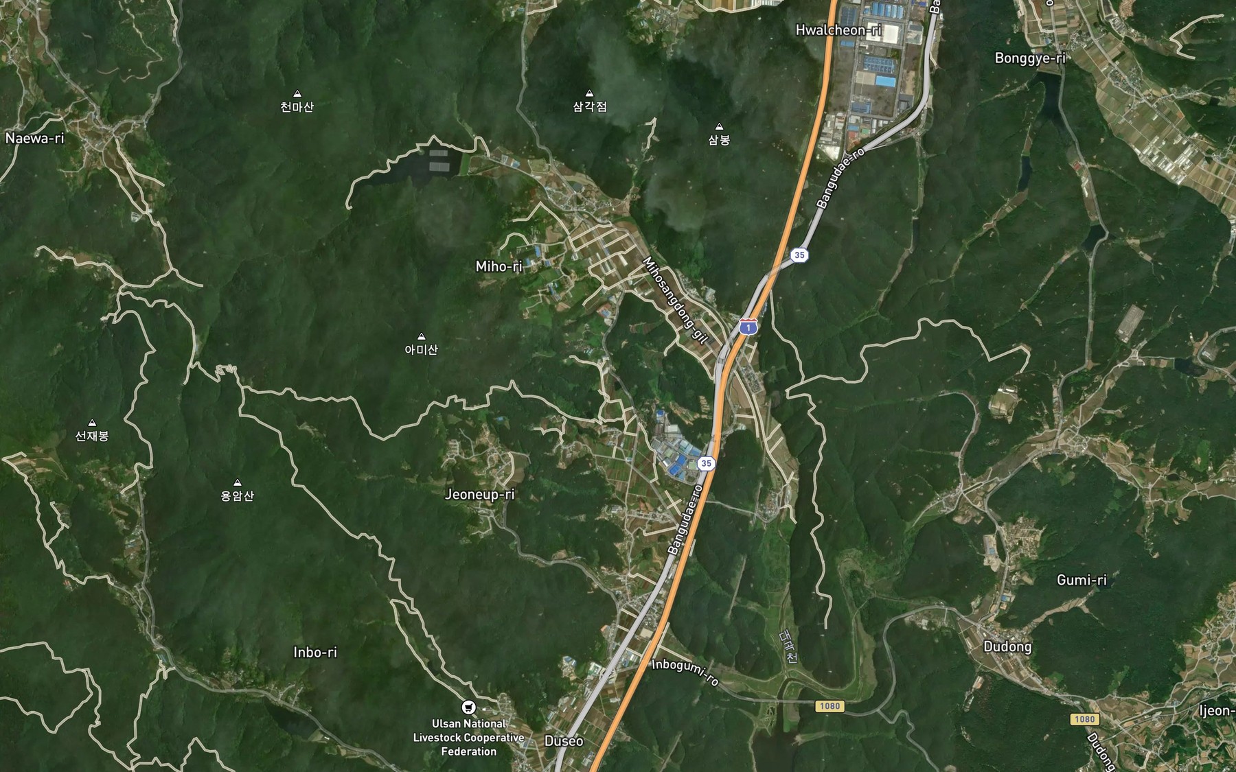 Satellite map of the Bungokji