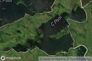 C Pool