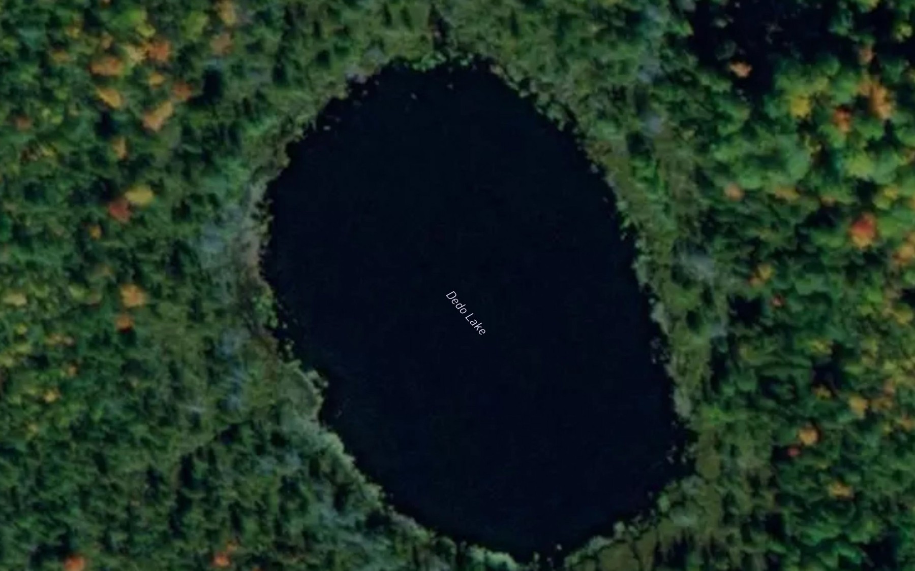 Satellite map of the Dedo Lake