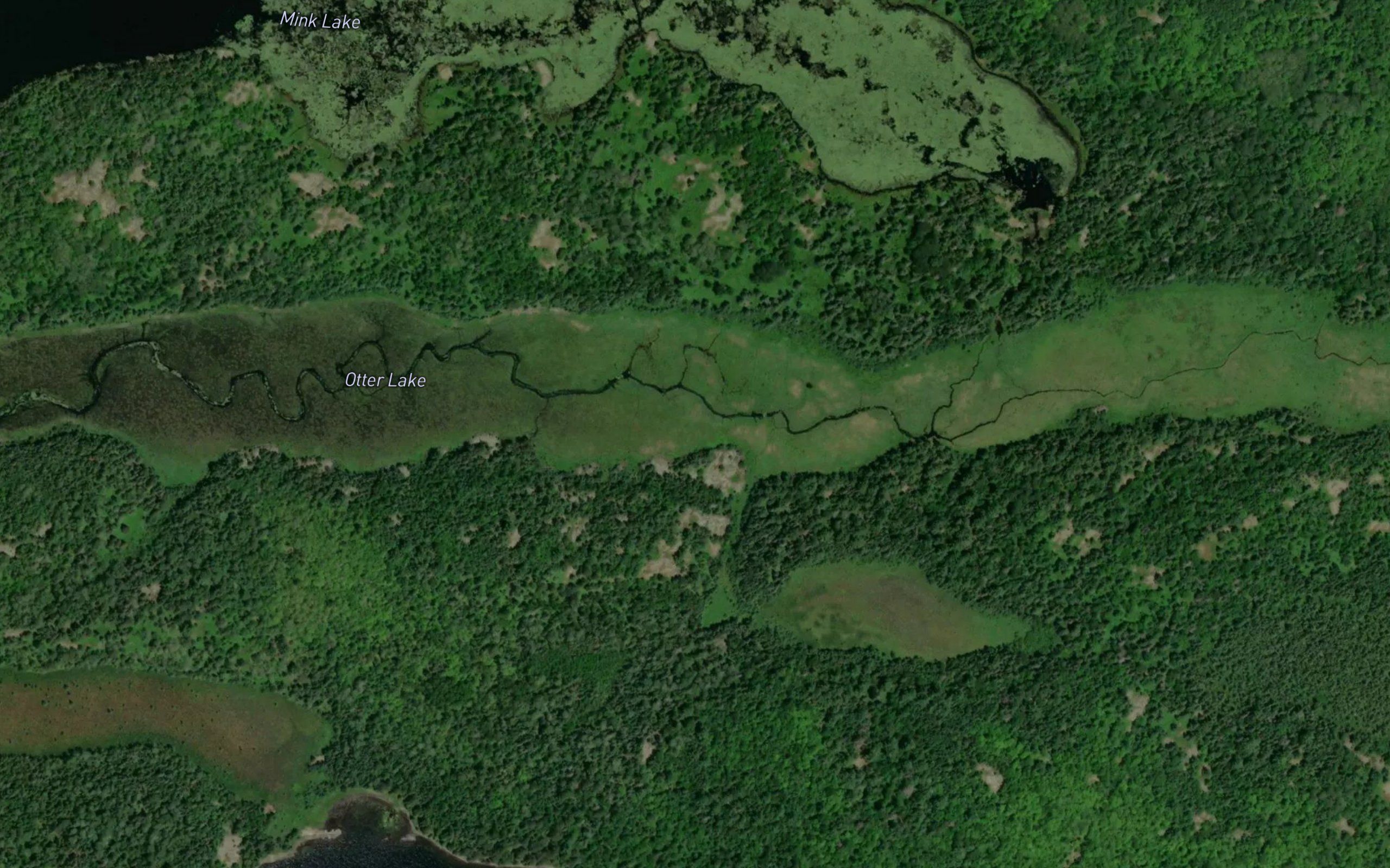 Otter Lake