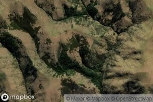 Blue Mountain Stream