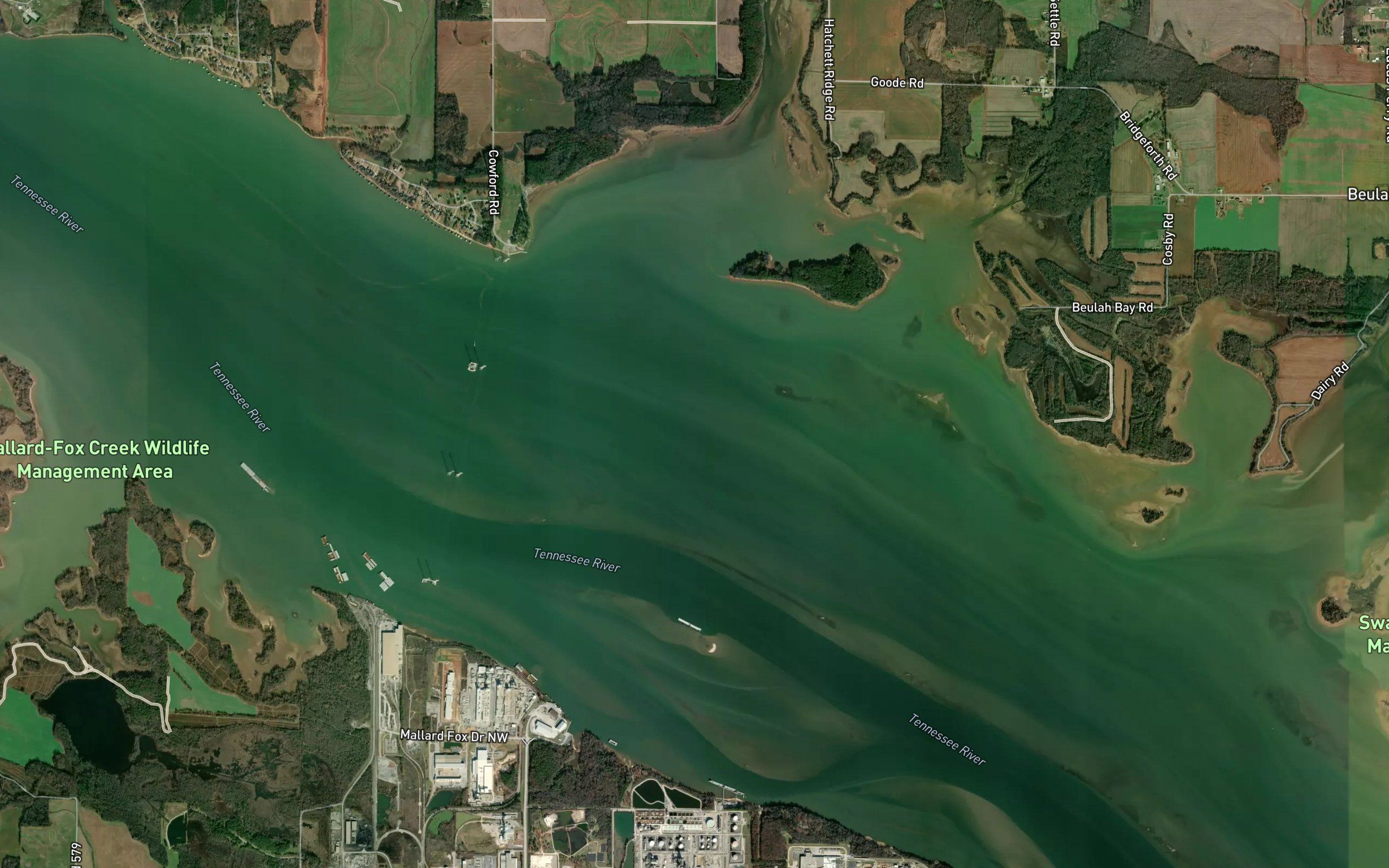 Wheeler Lake