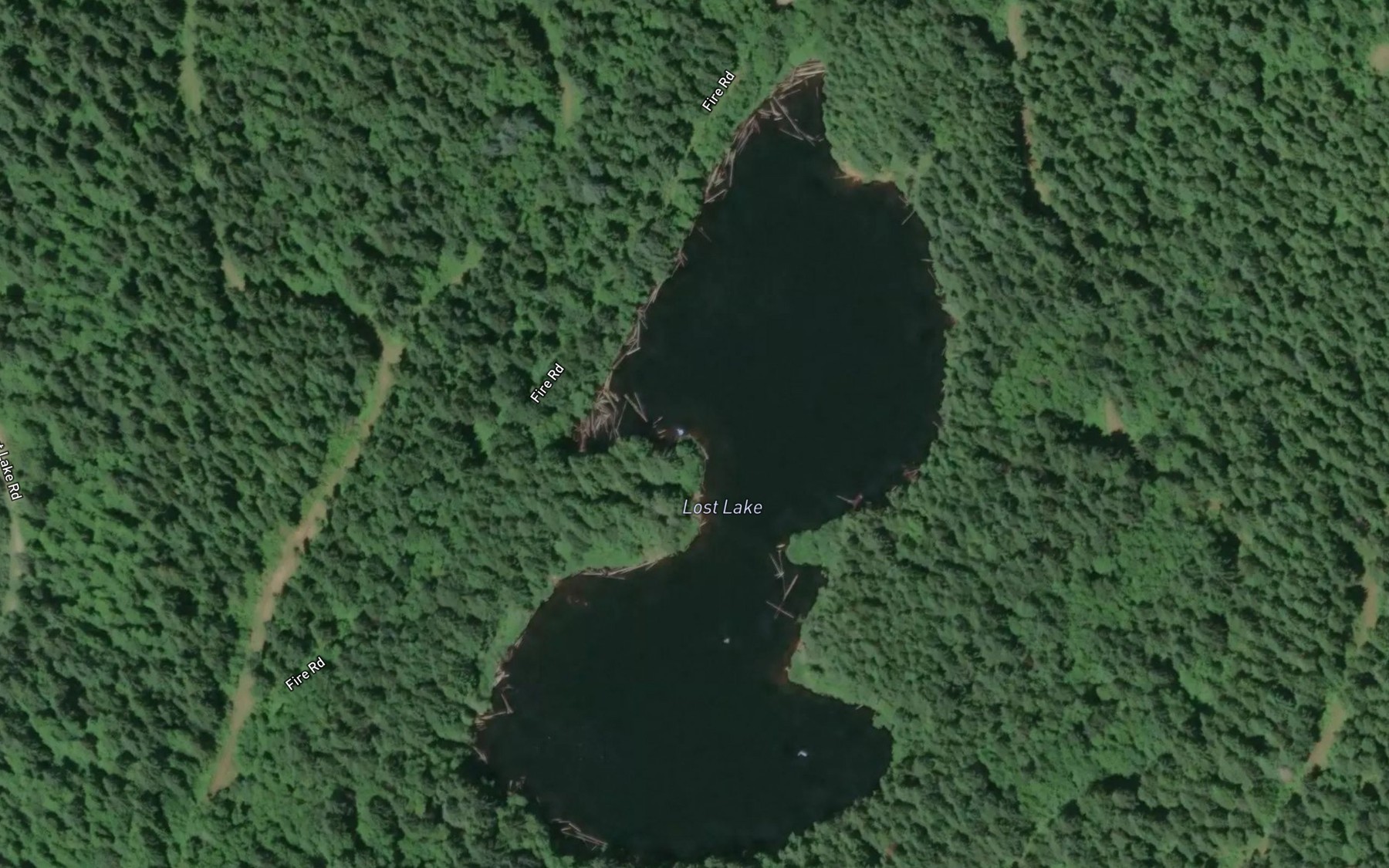 Satellite map of the Lost Lake