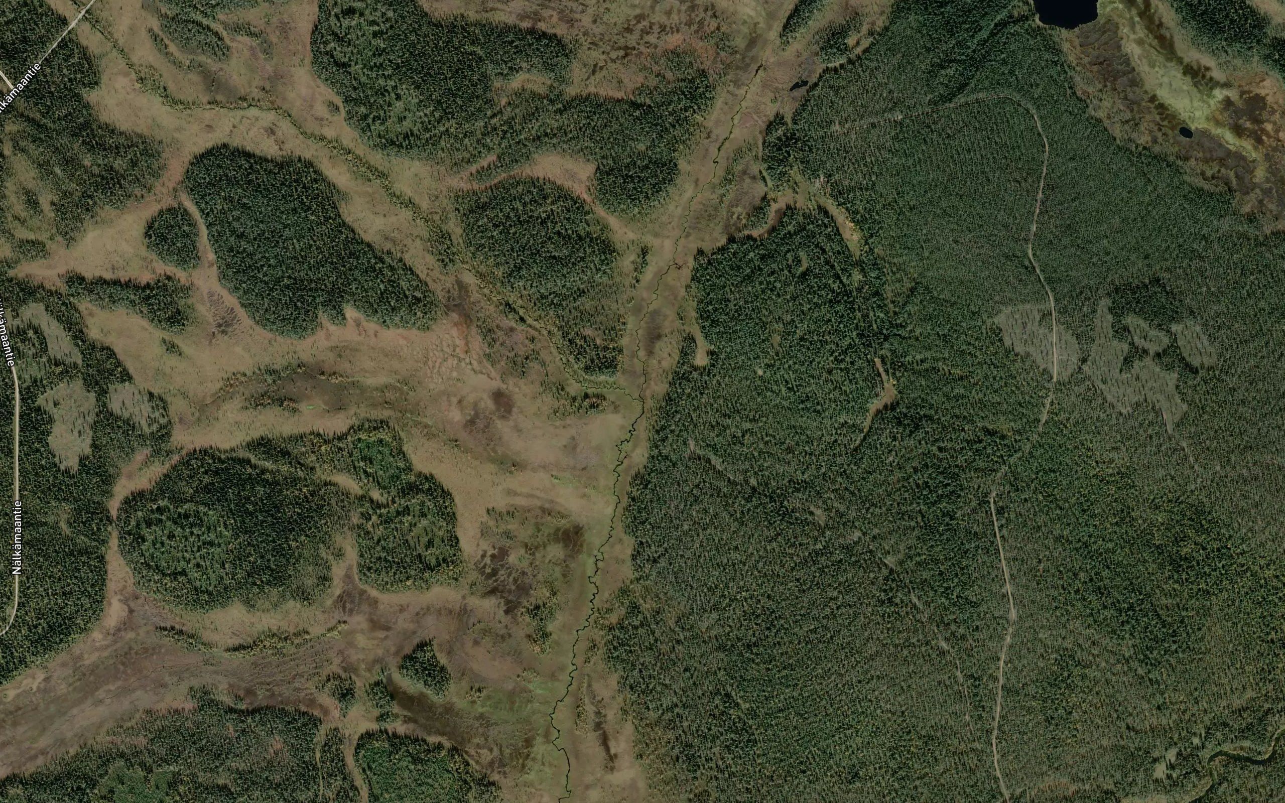 Sammakkohaara