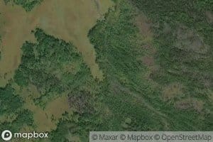 Verkhnyaya Plashechnaya