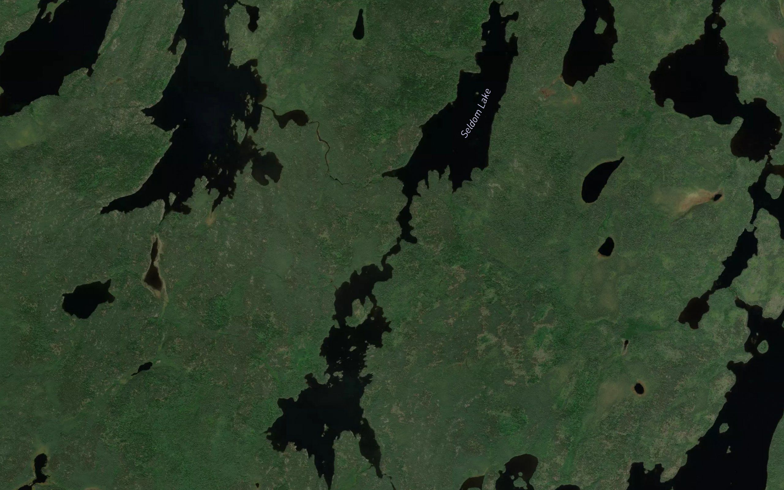 Seldom Lake