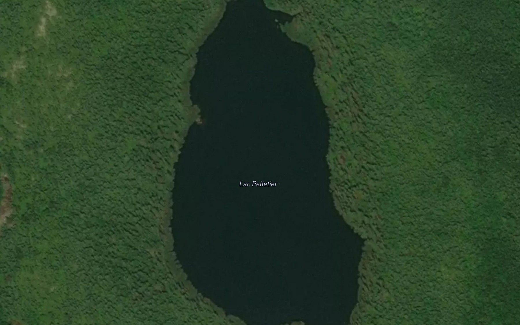 Satellite map of the Lac Pelletier