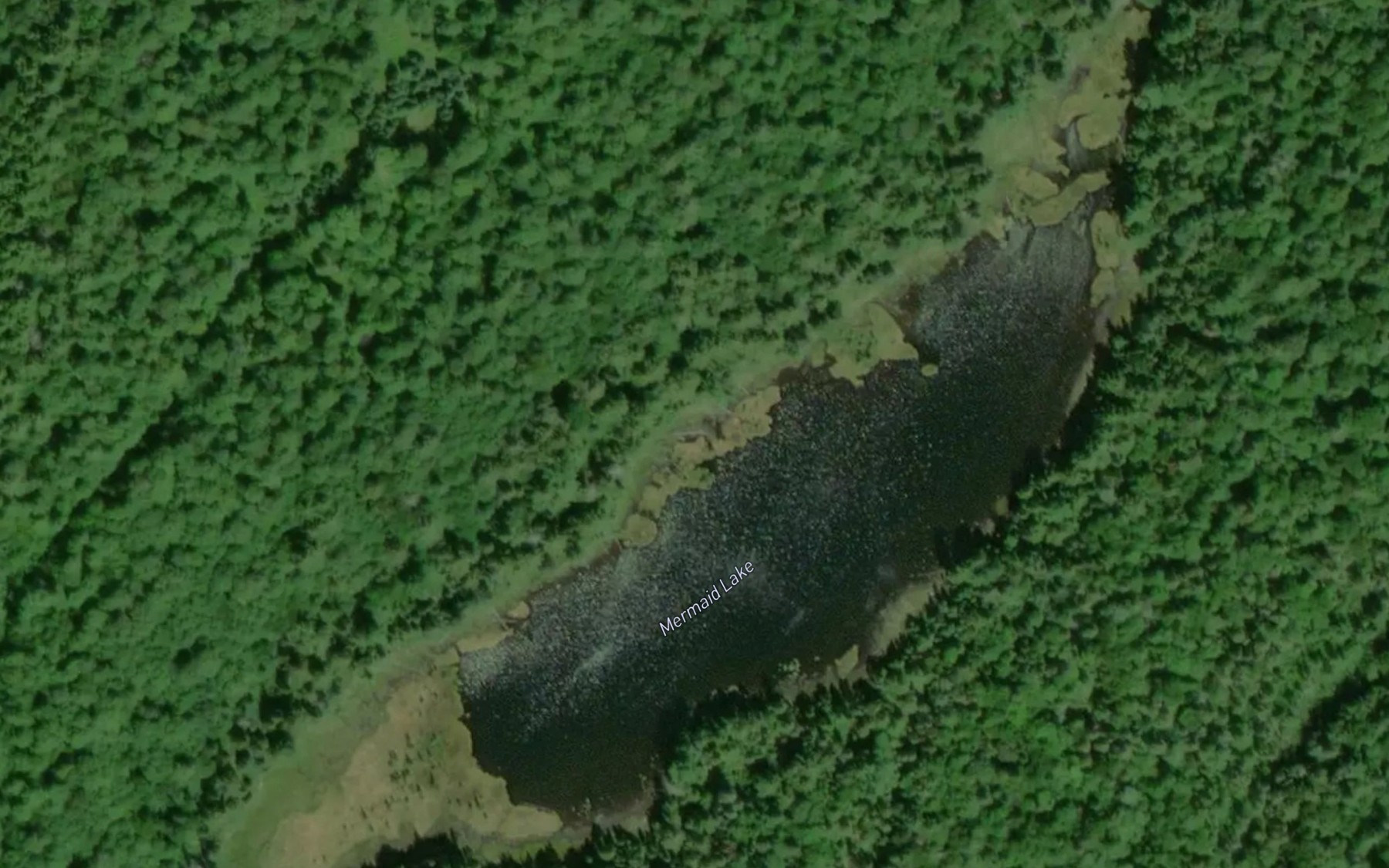 Satellite map of the Mermaid Lake