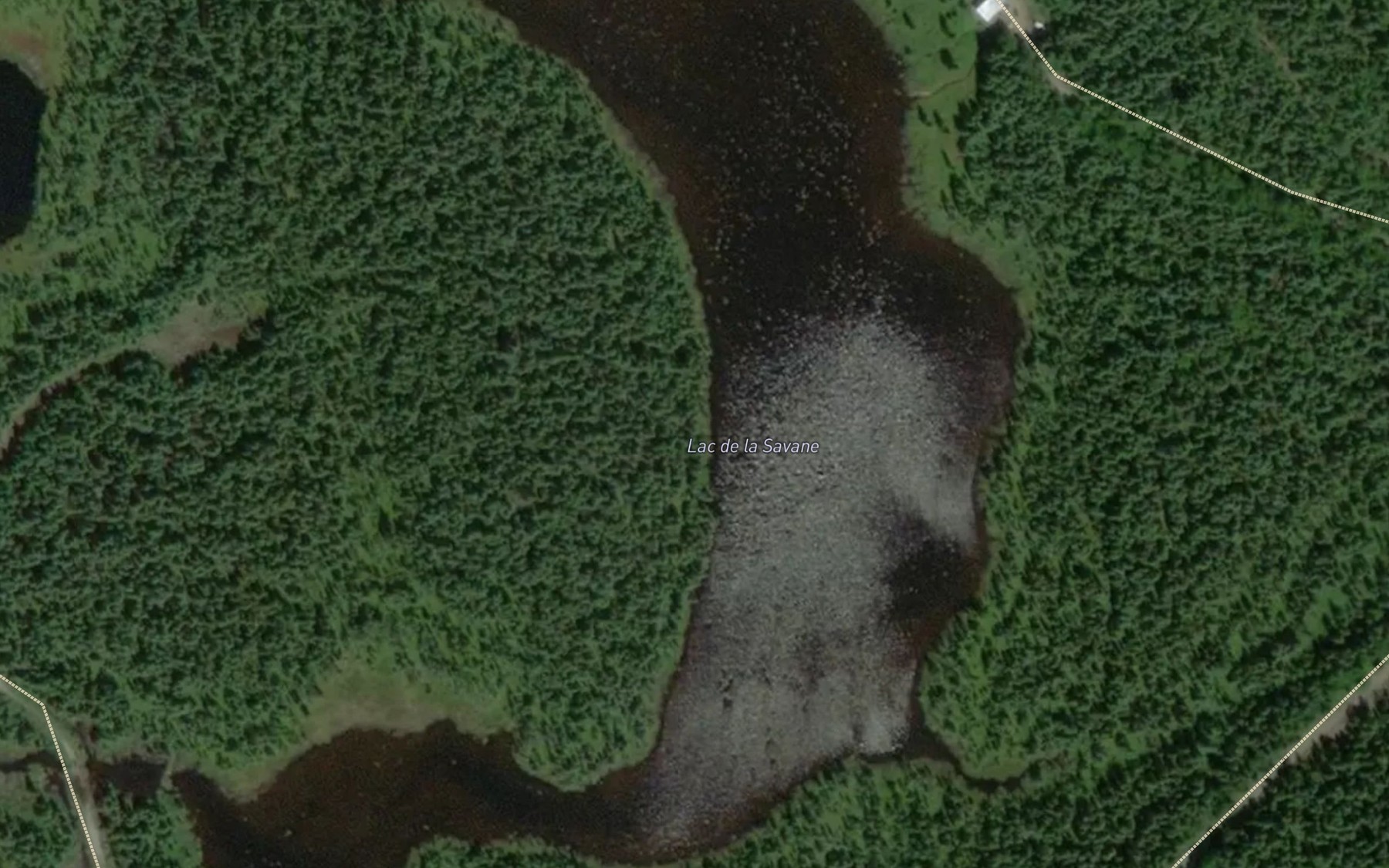 Satellite map of the Lac de la Savane