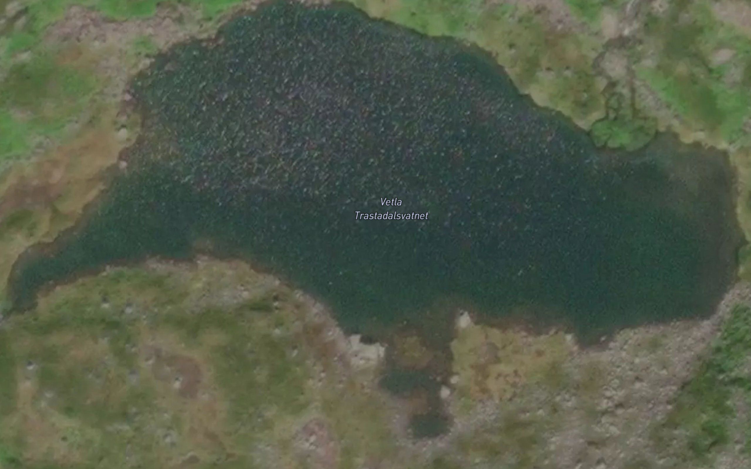 Trastadalsvatnet,vetla