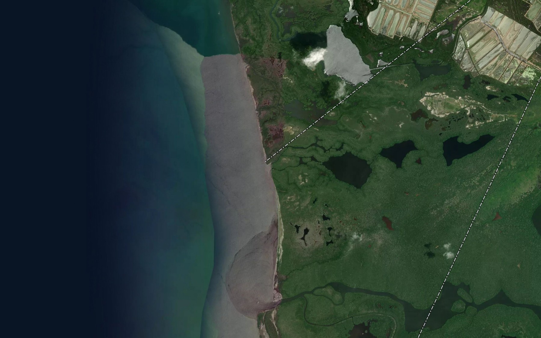 Satellite map of the Boca Flamenquito