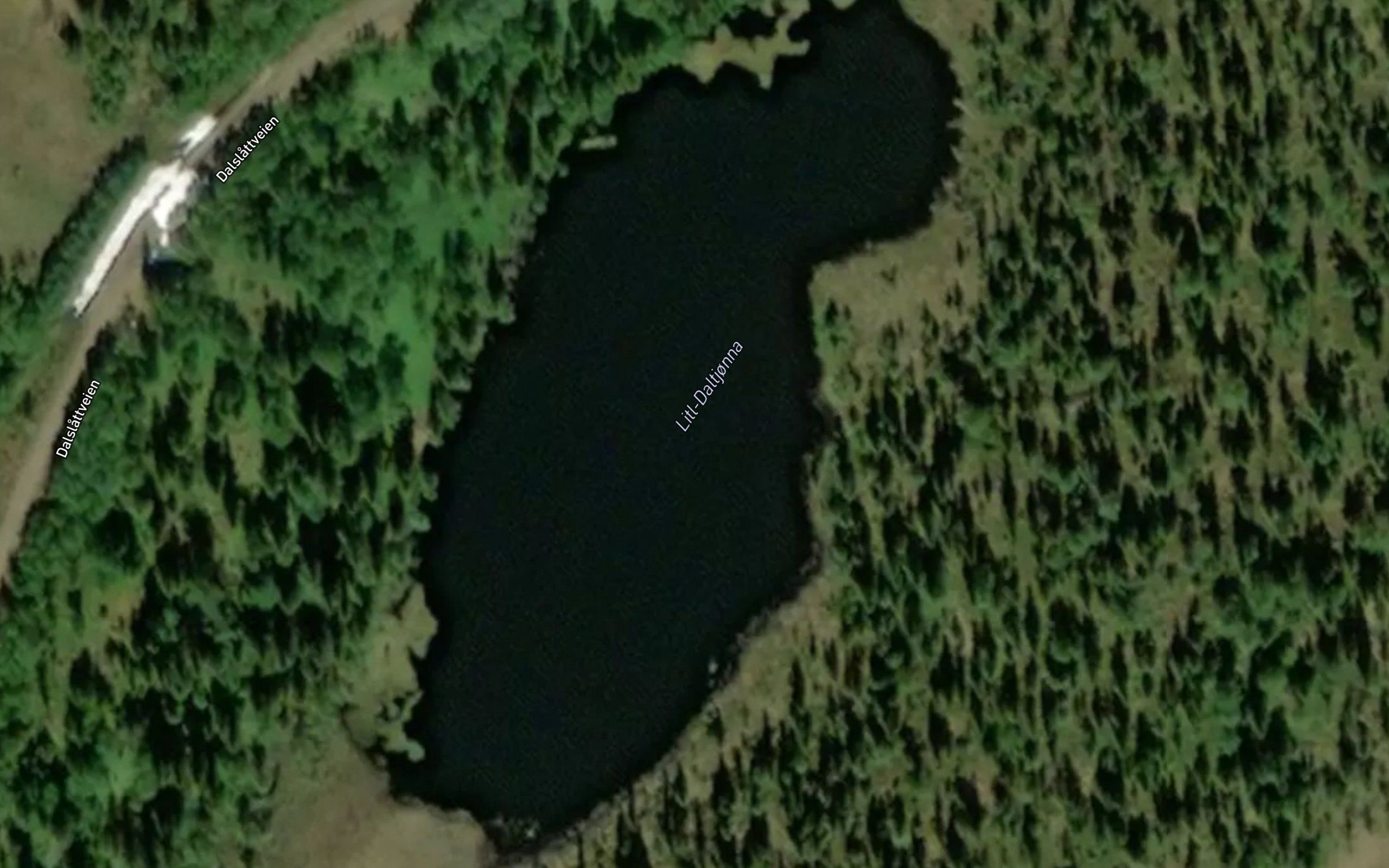 Litl-Daltjonna