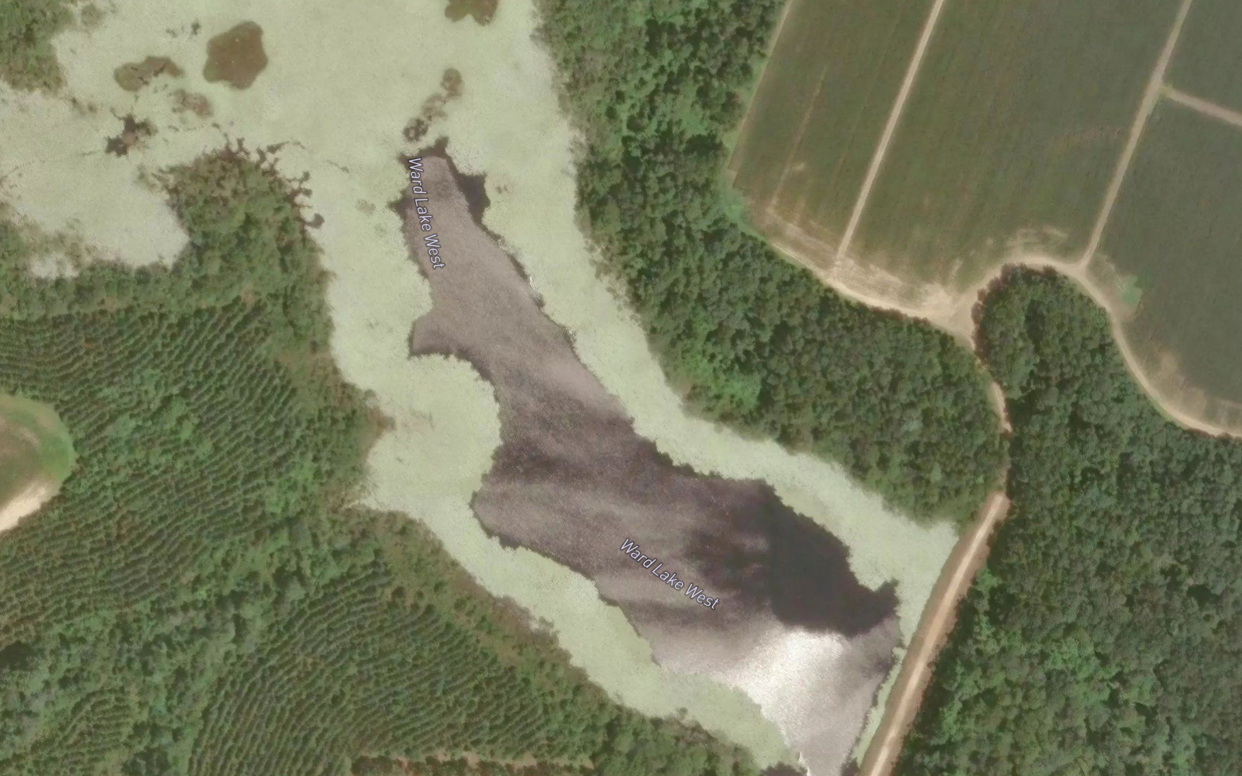 Ward Lake West