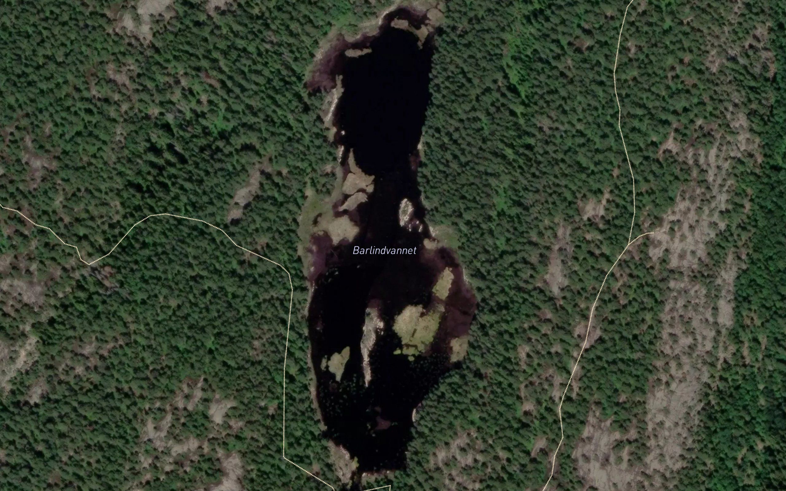 Barlindvann