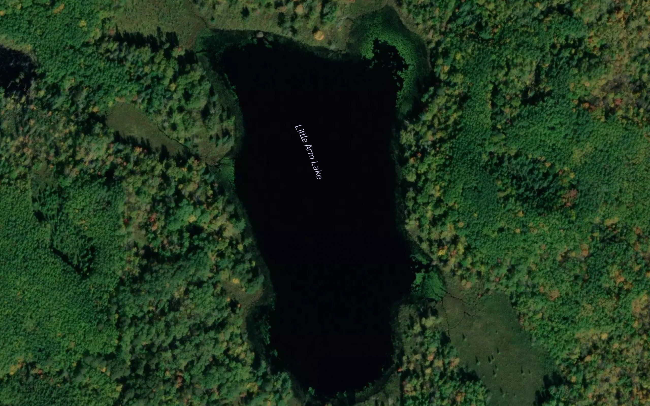 Little Arm Lake