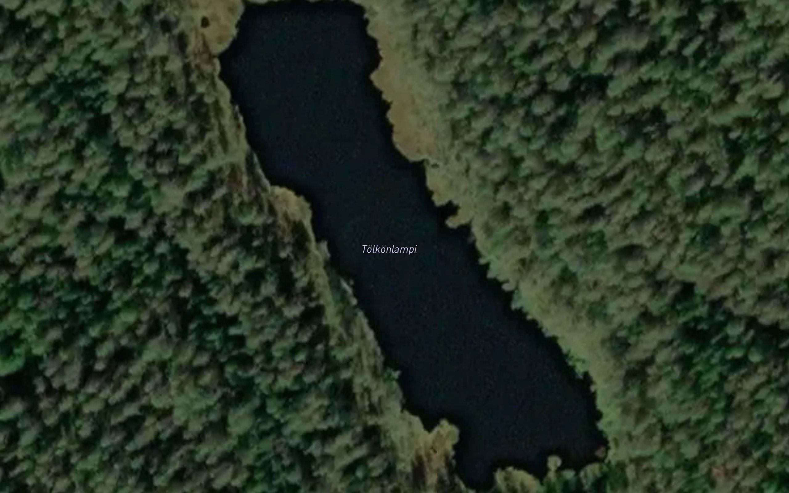 Tolkonlampi