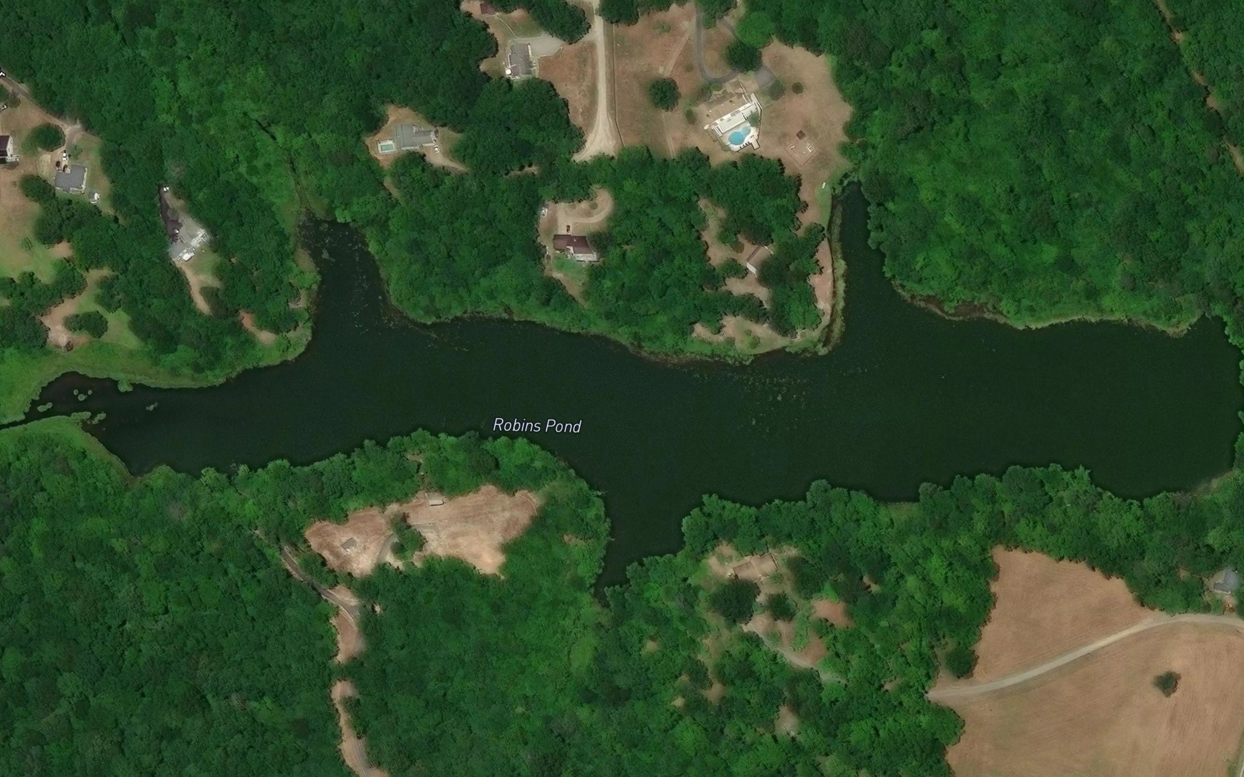Robins Pond