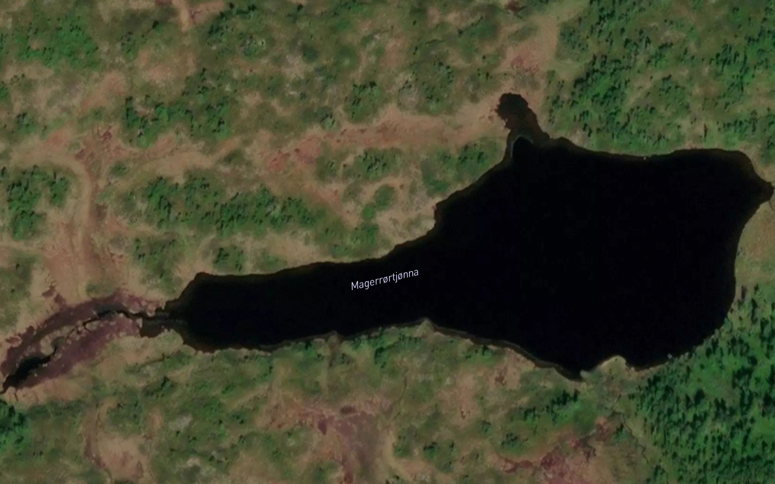 Magerrortjorna