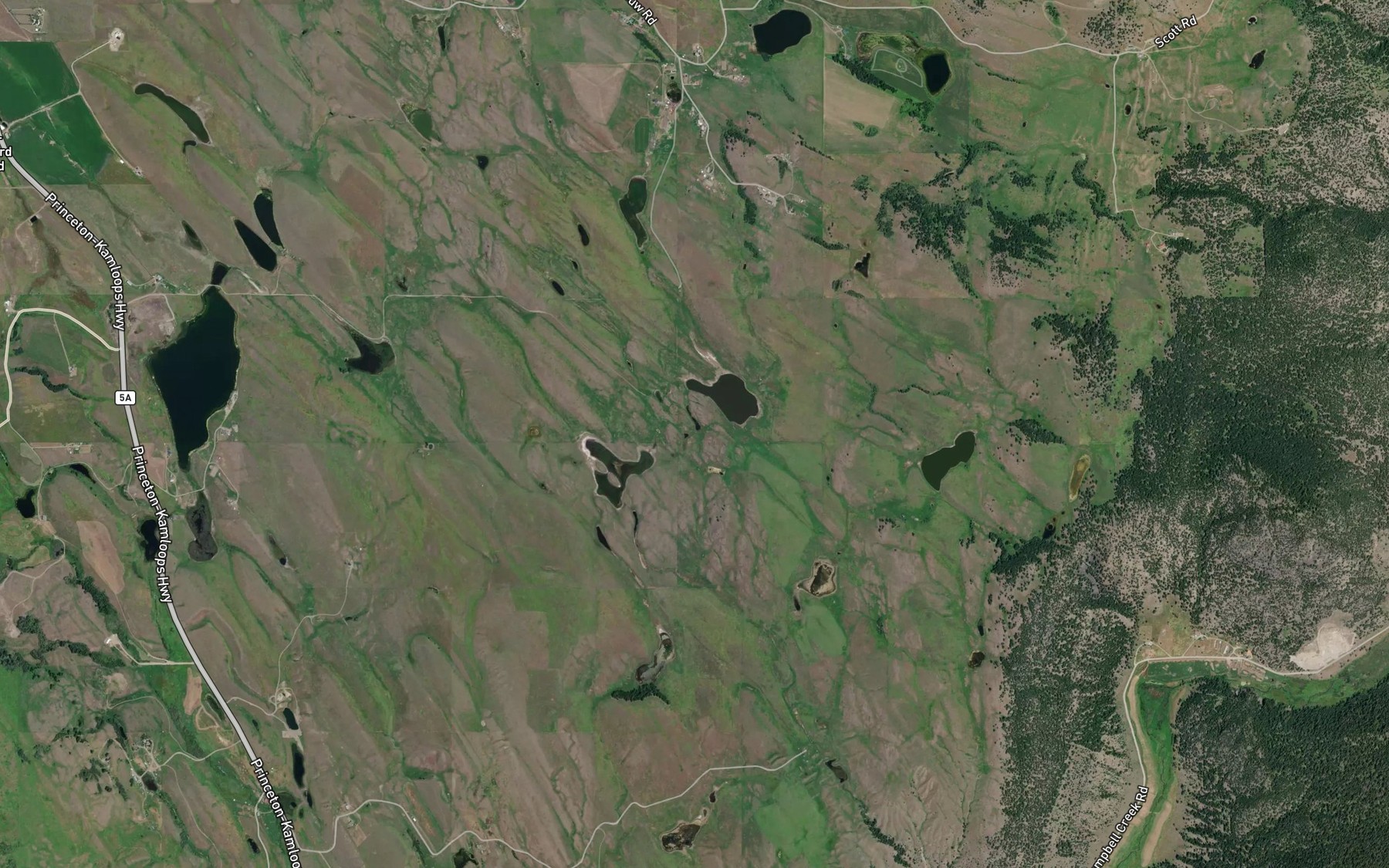 Satellite map of the Beresford Lakes