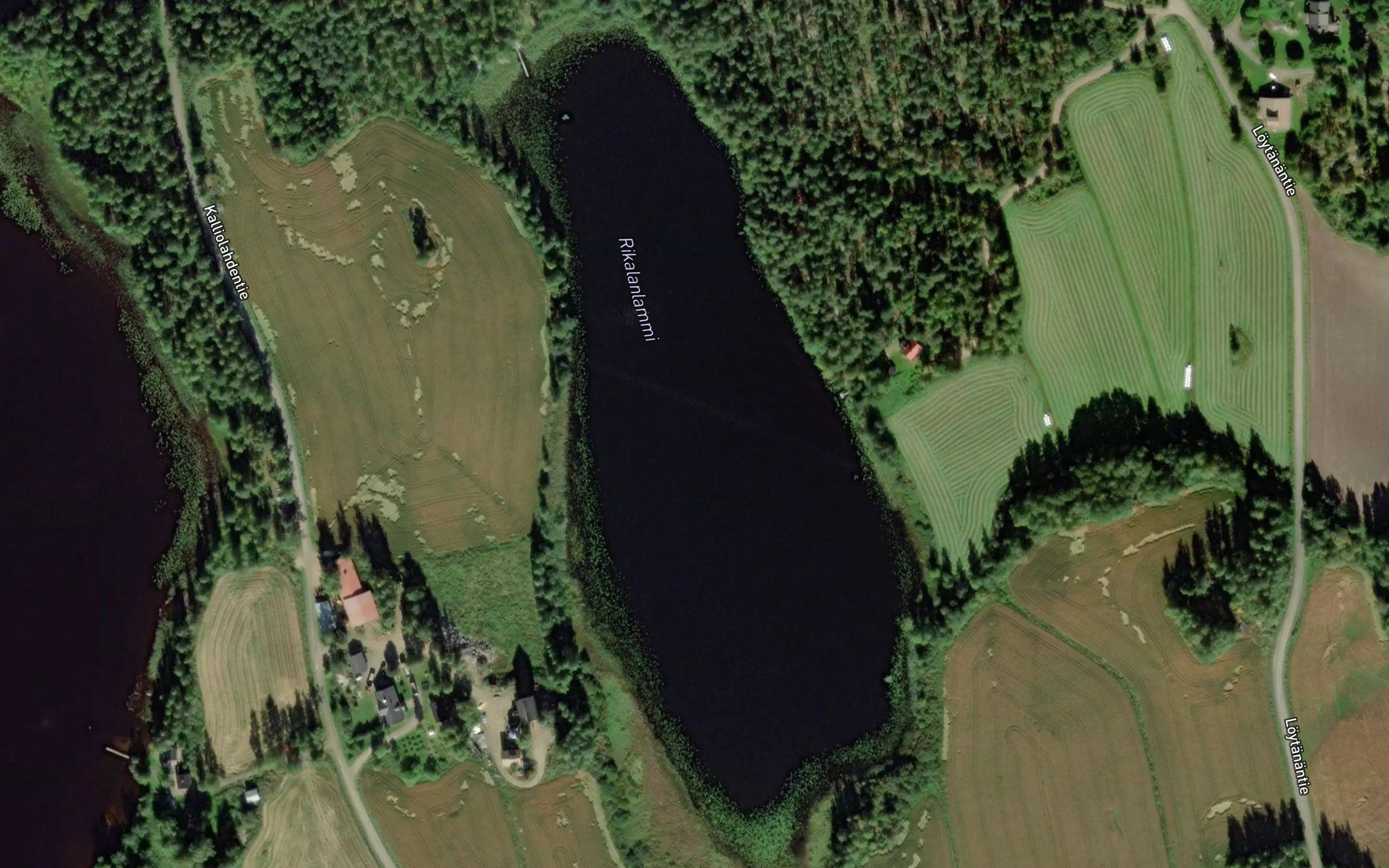 Rikalanlammi