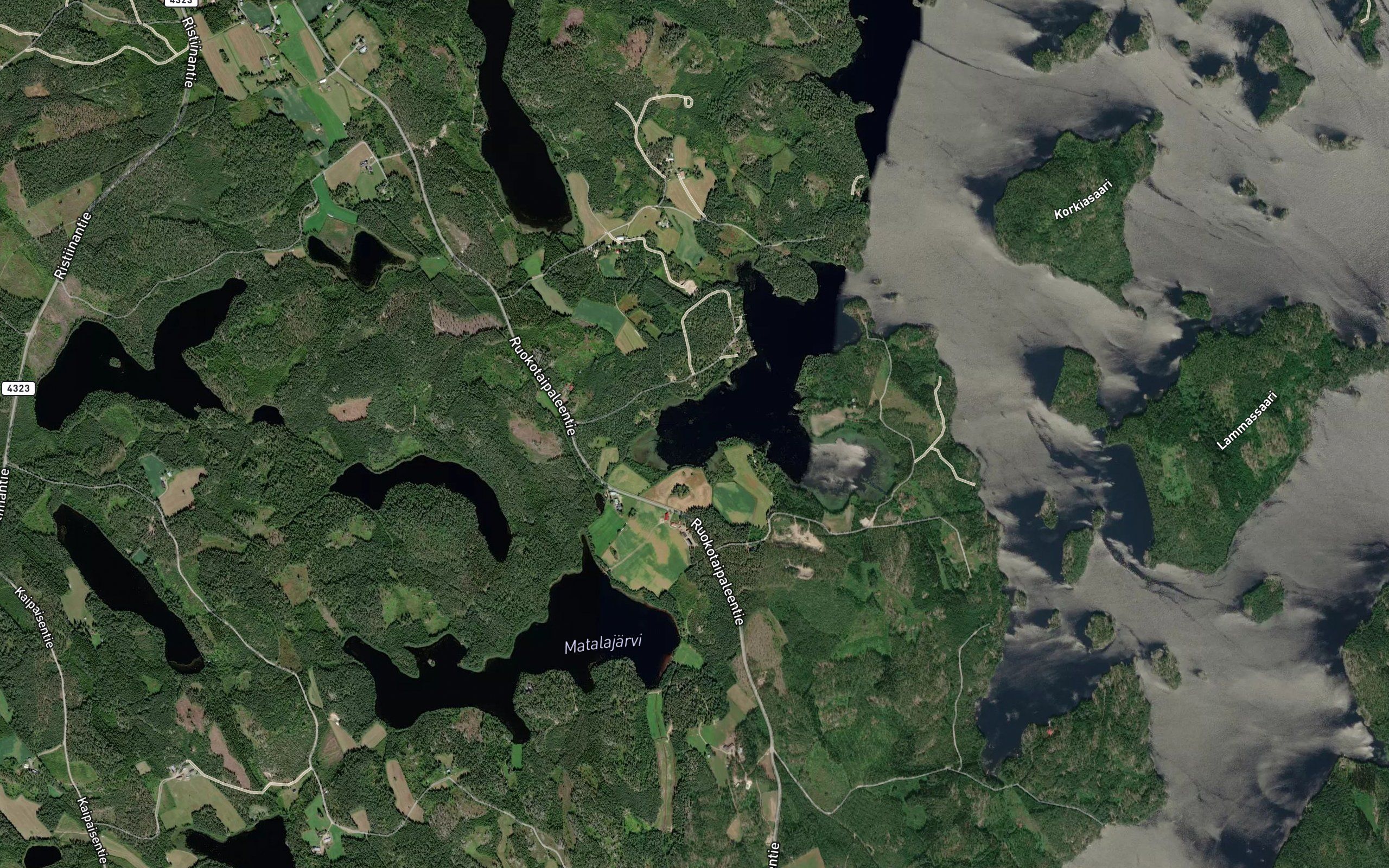 Matalalahti
