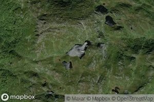 Blafjelltjonni