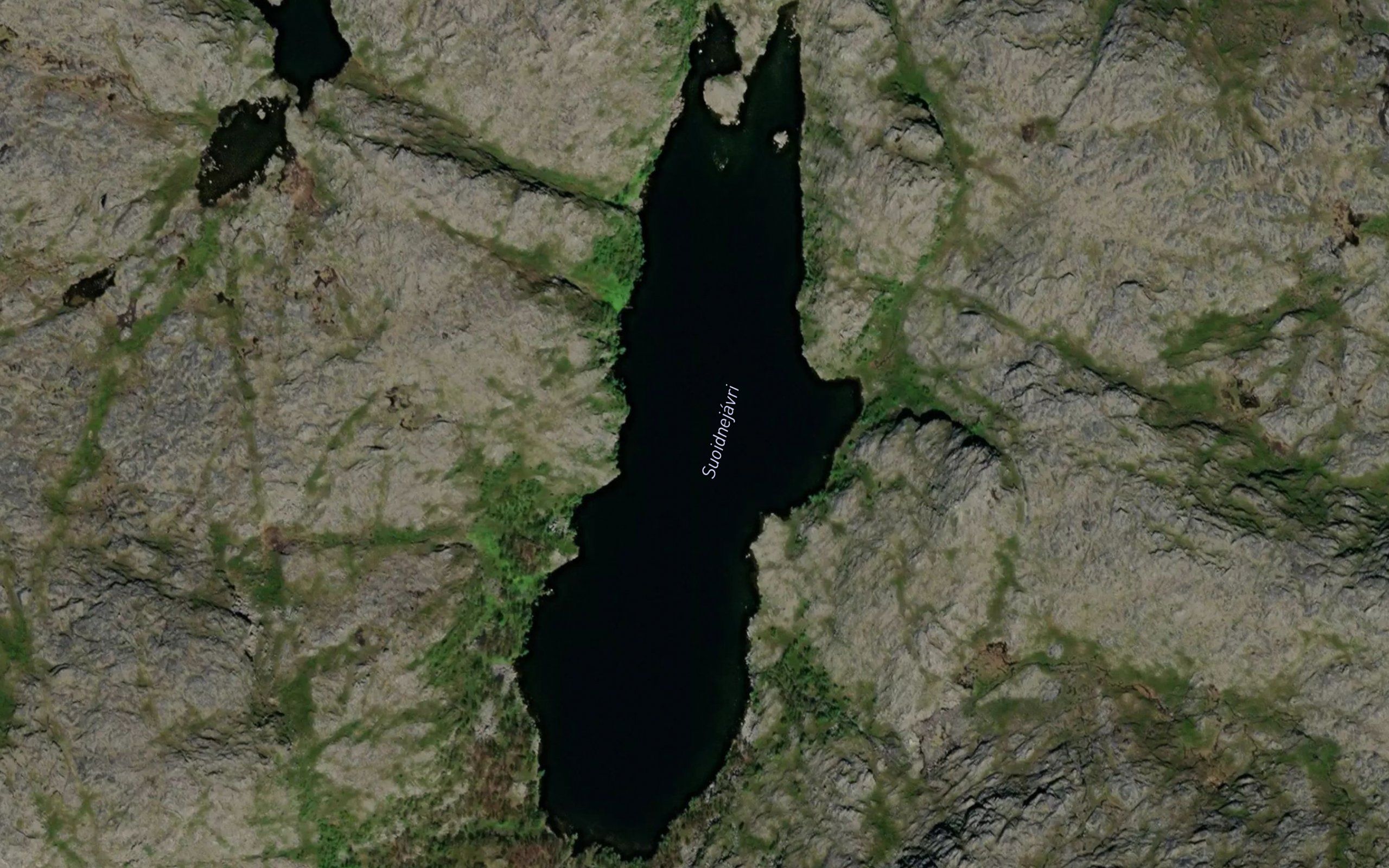 Suoidnejavri