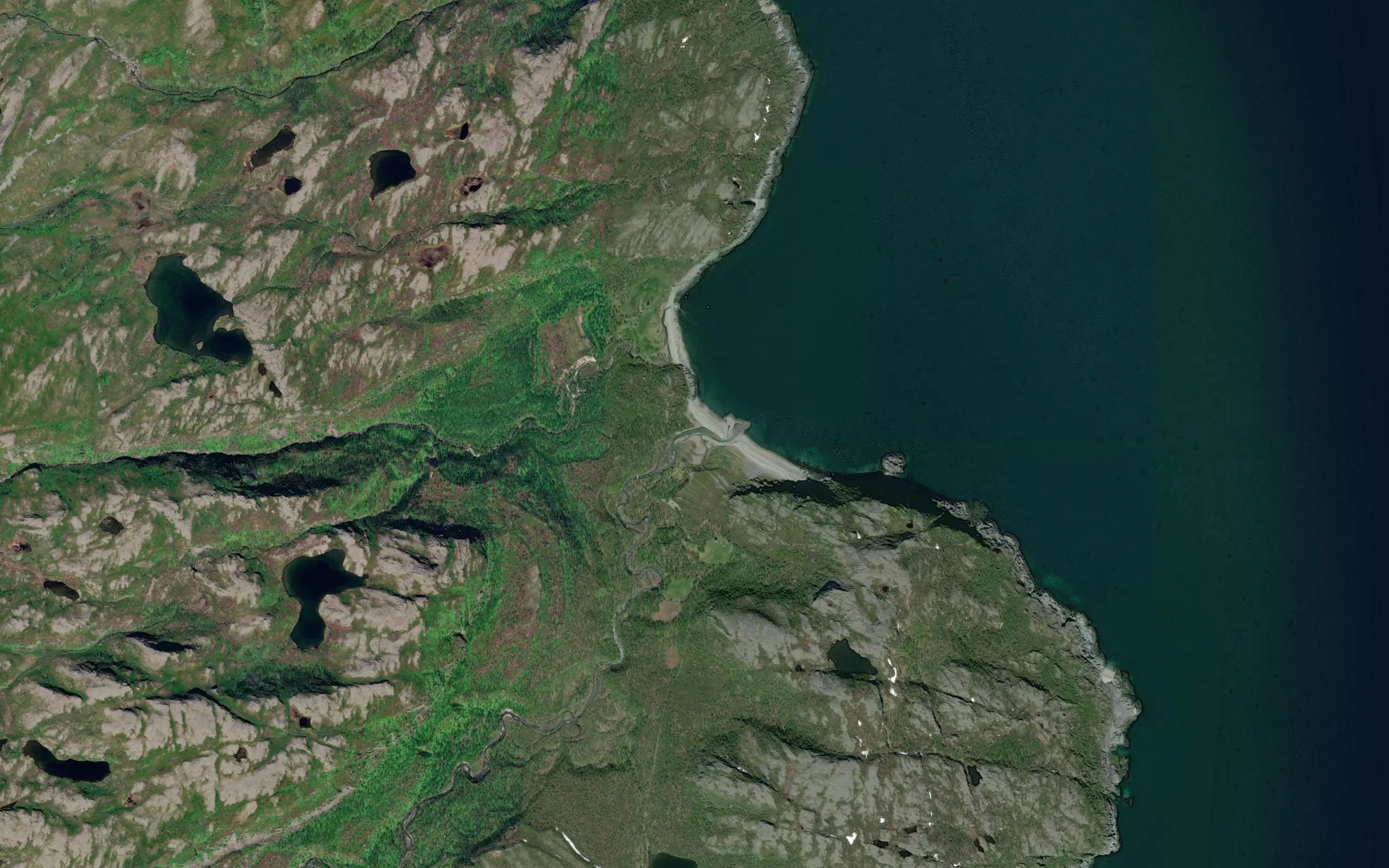 Korsneselva