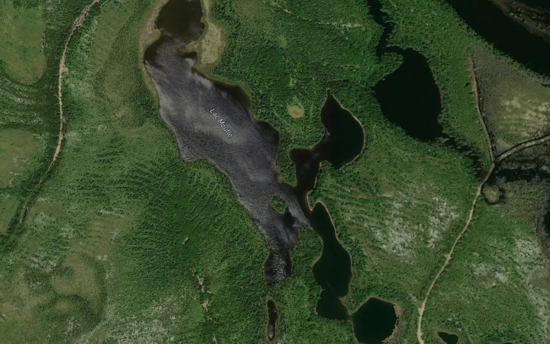 Satellite map of the Lac Moufle