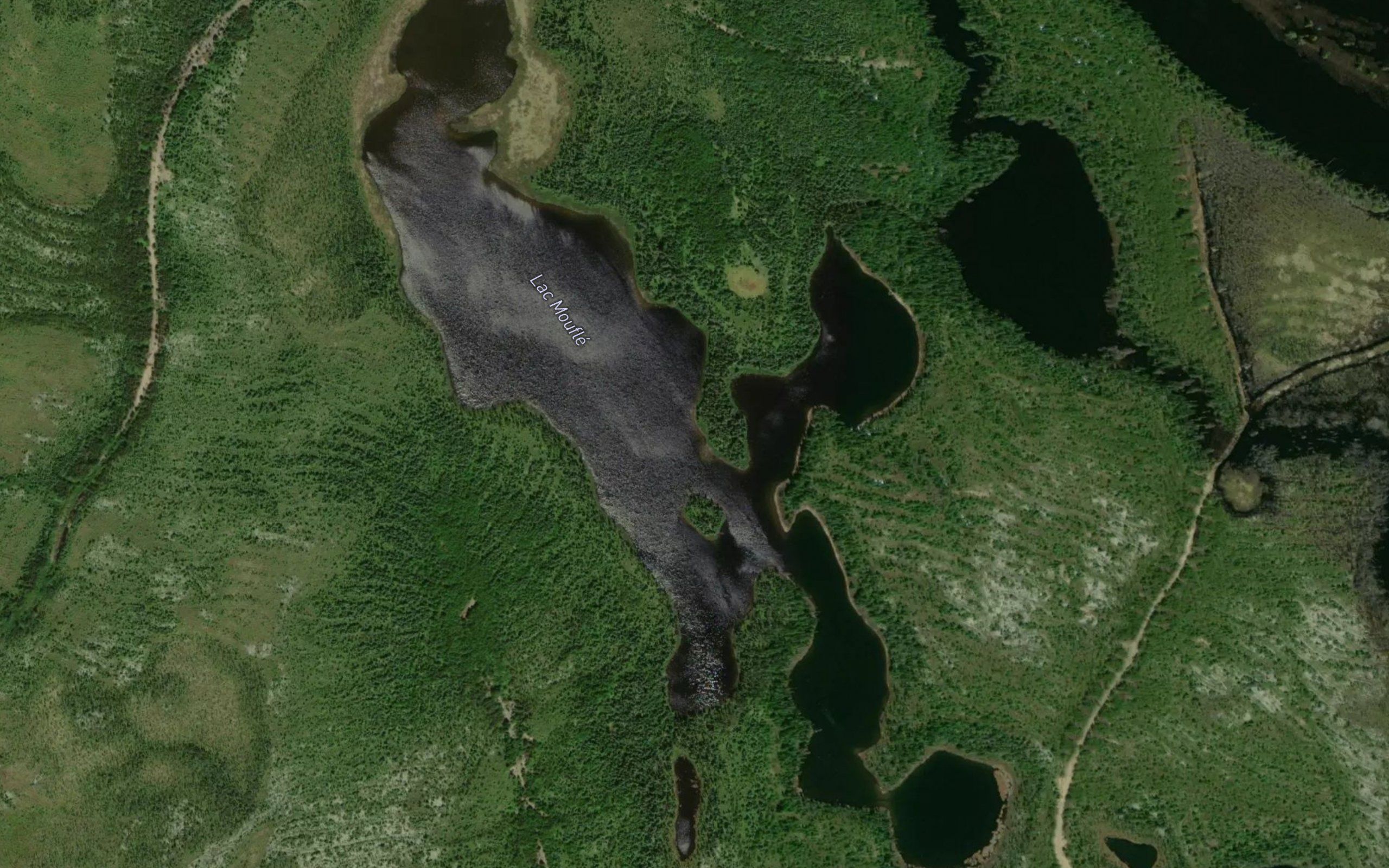 Lac Moufle