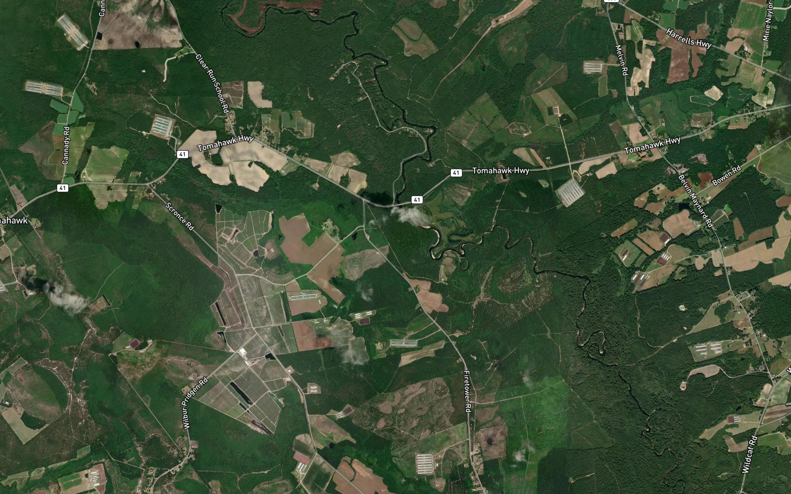 Rocky Branch