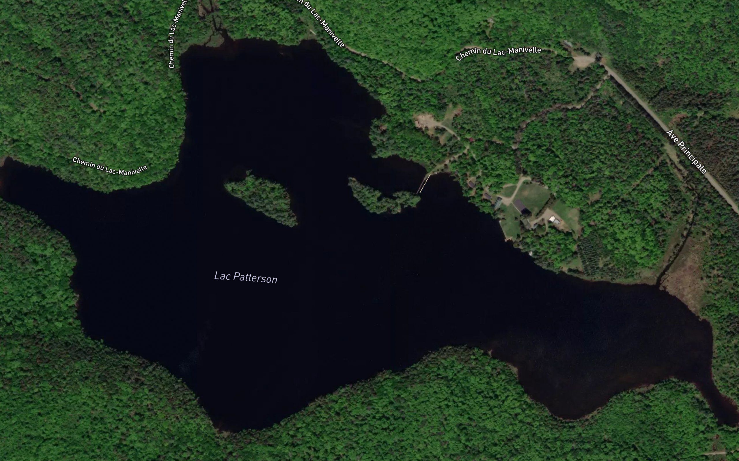 Lac Patterson