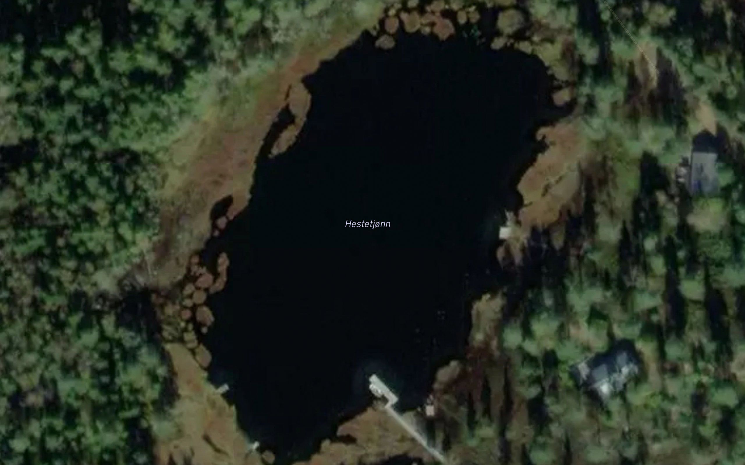 Hestetjern