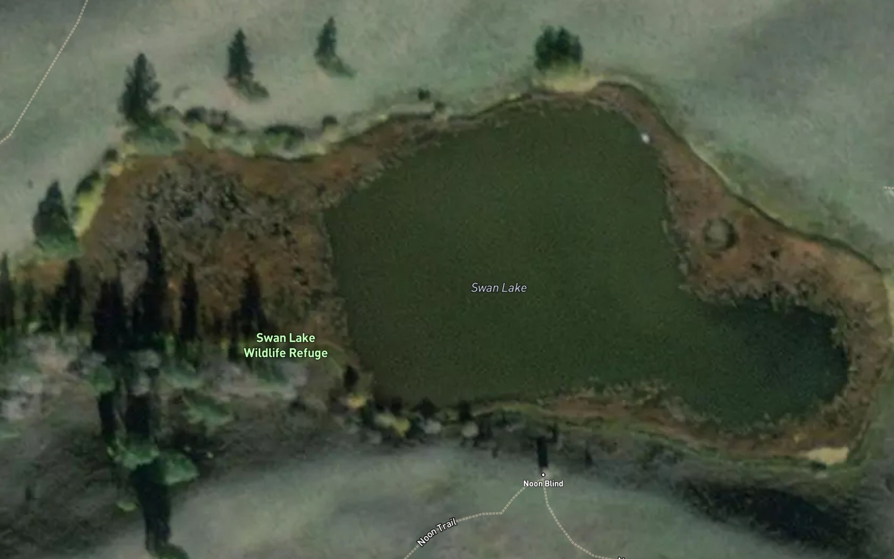 Satellite map of the Swan Lake
