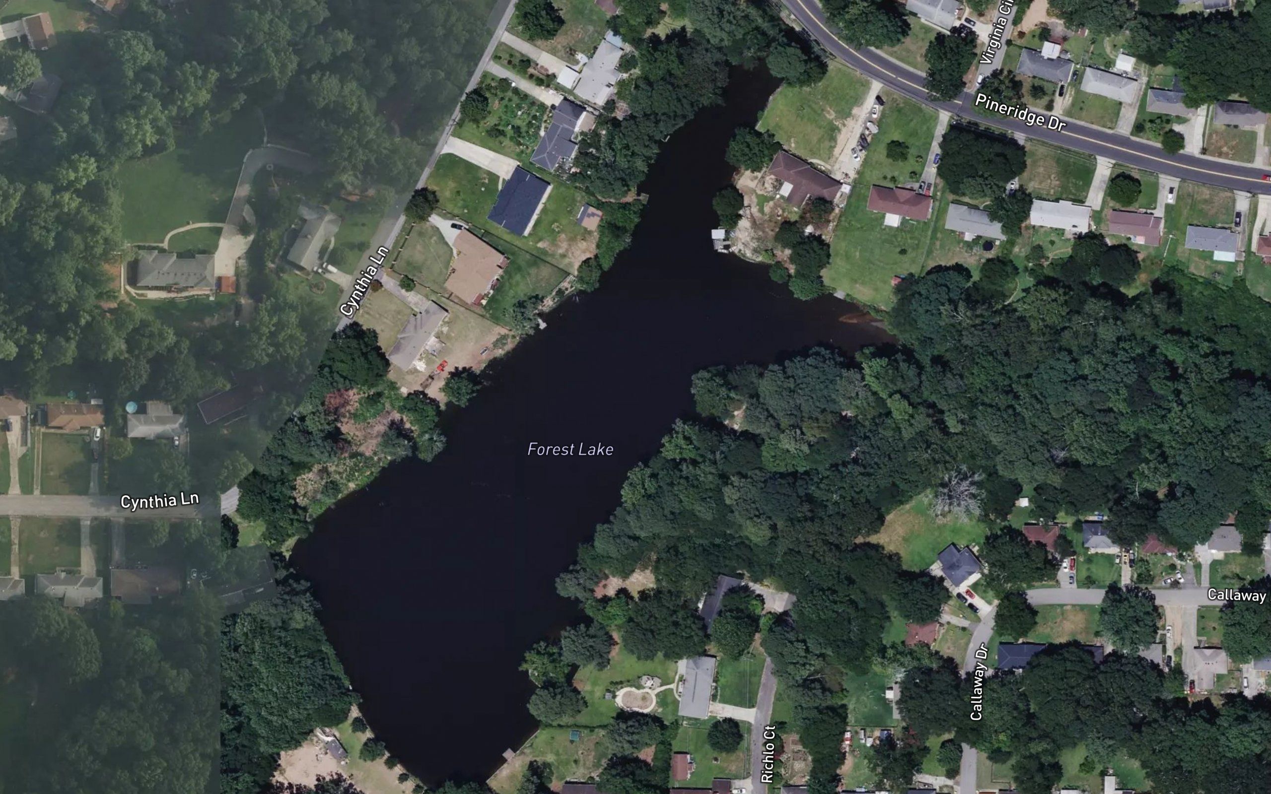 Forest Lake