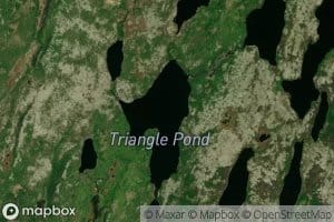 Triangle Pond